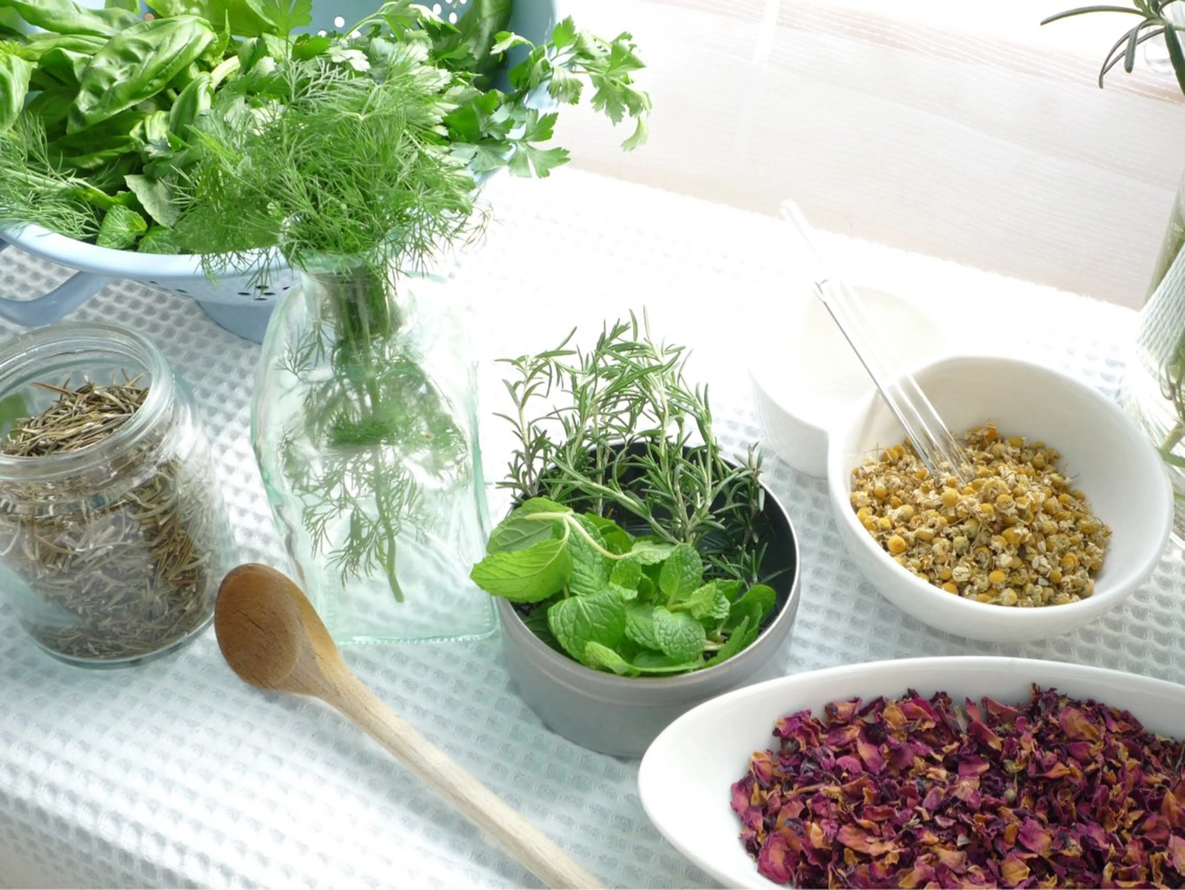 香りの家ローズマリー 🌿アロマリンパのエステ・リラクイメージ