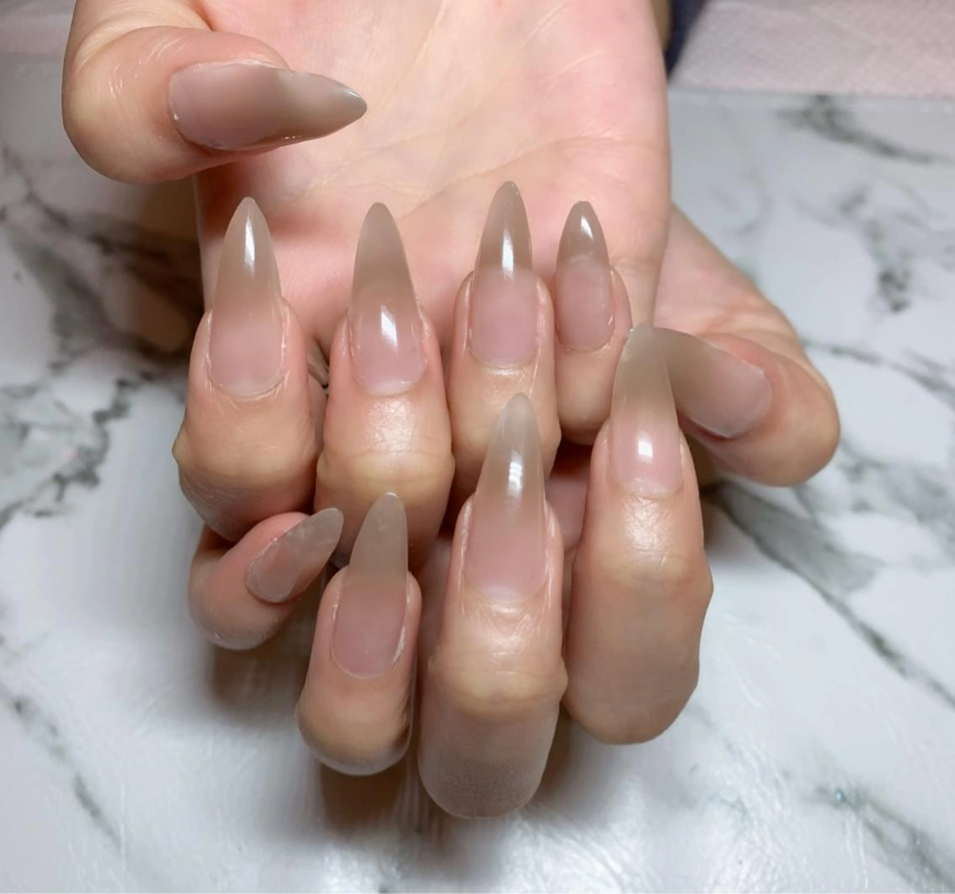 ネイル アニマル柄 アートネイル グラデーション ニュアンスネイル ワンカラーネイル x.1.0.nail ♡Cのネイルデザイン