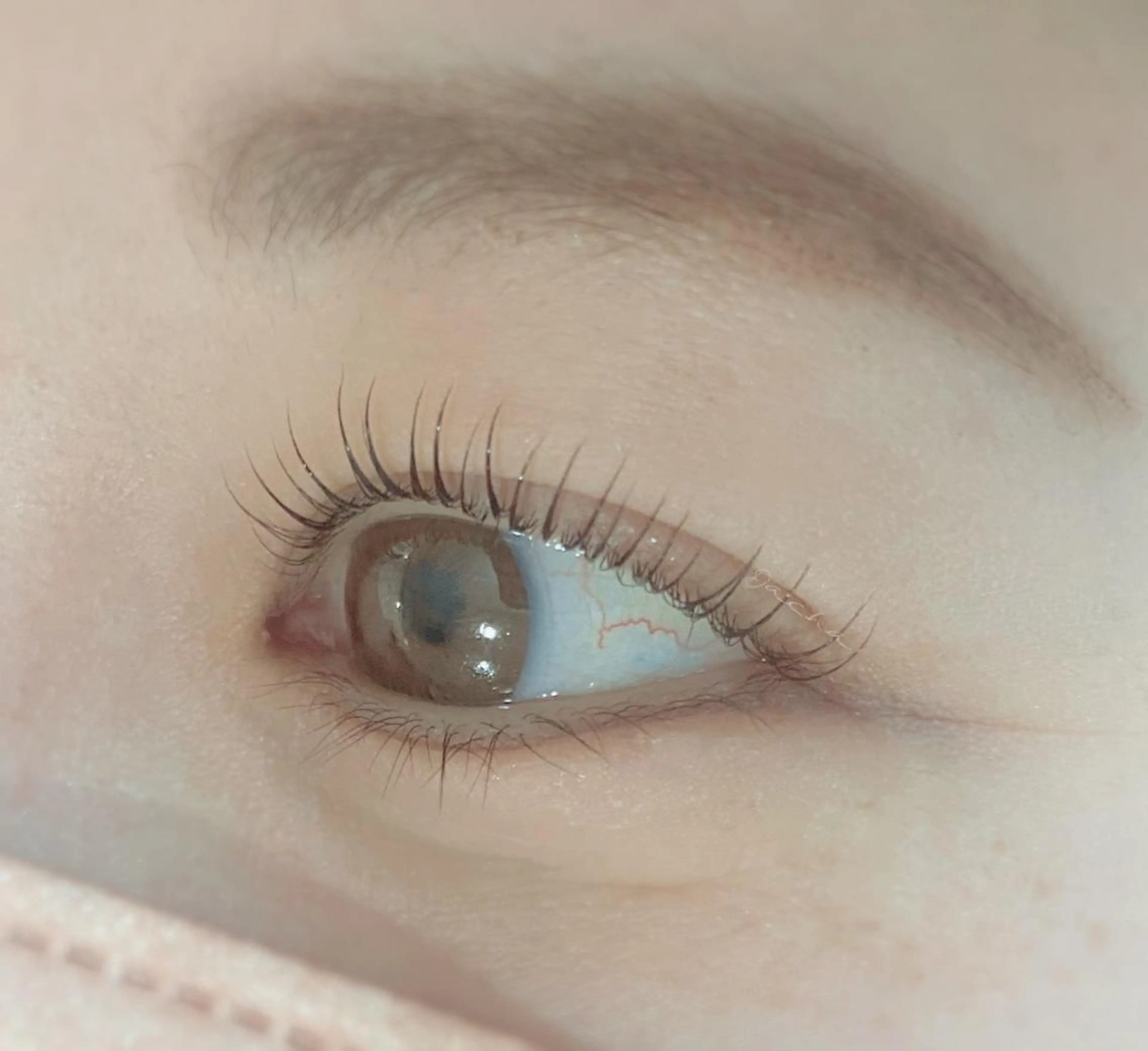 マツエク・マツパ Dacha まつ毛屋さんのマツエク・マツパデザイン