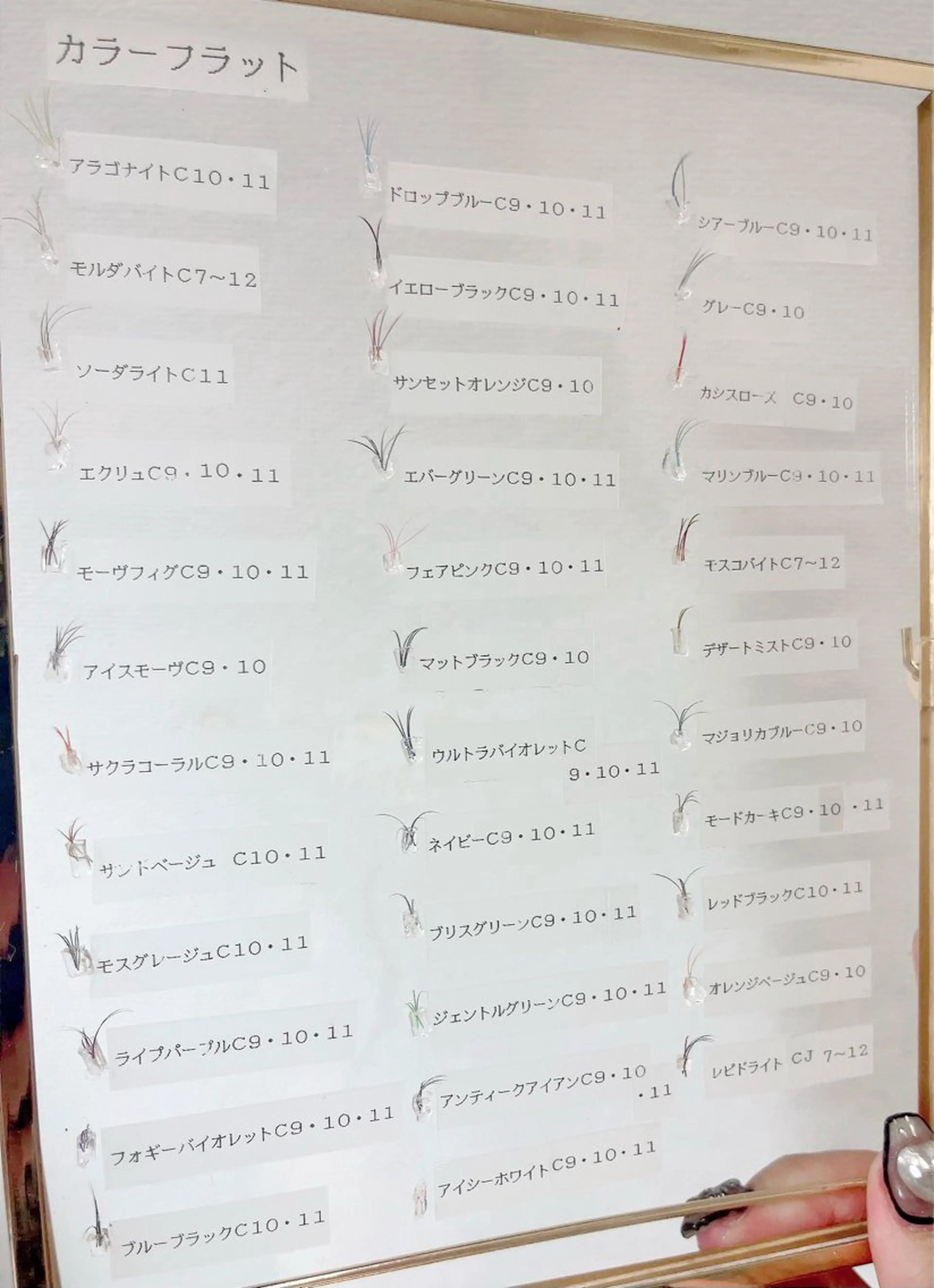 マツエク・マツパ カラーマツエク hairsalon556所属・hairsalon 556のマツエク・マツパデザイン