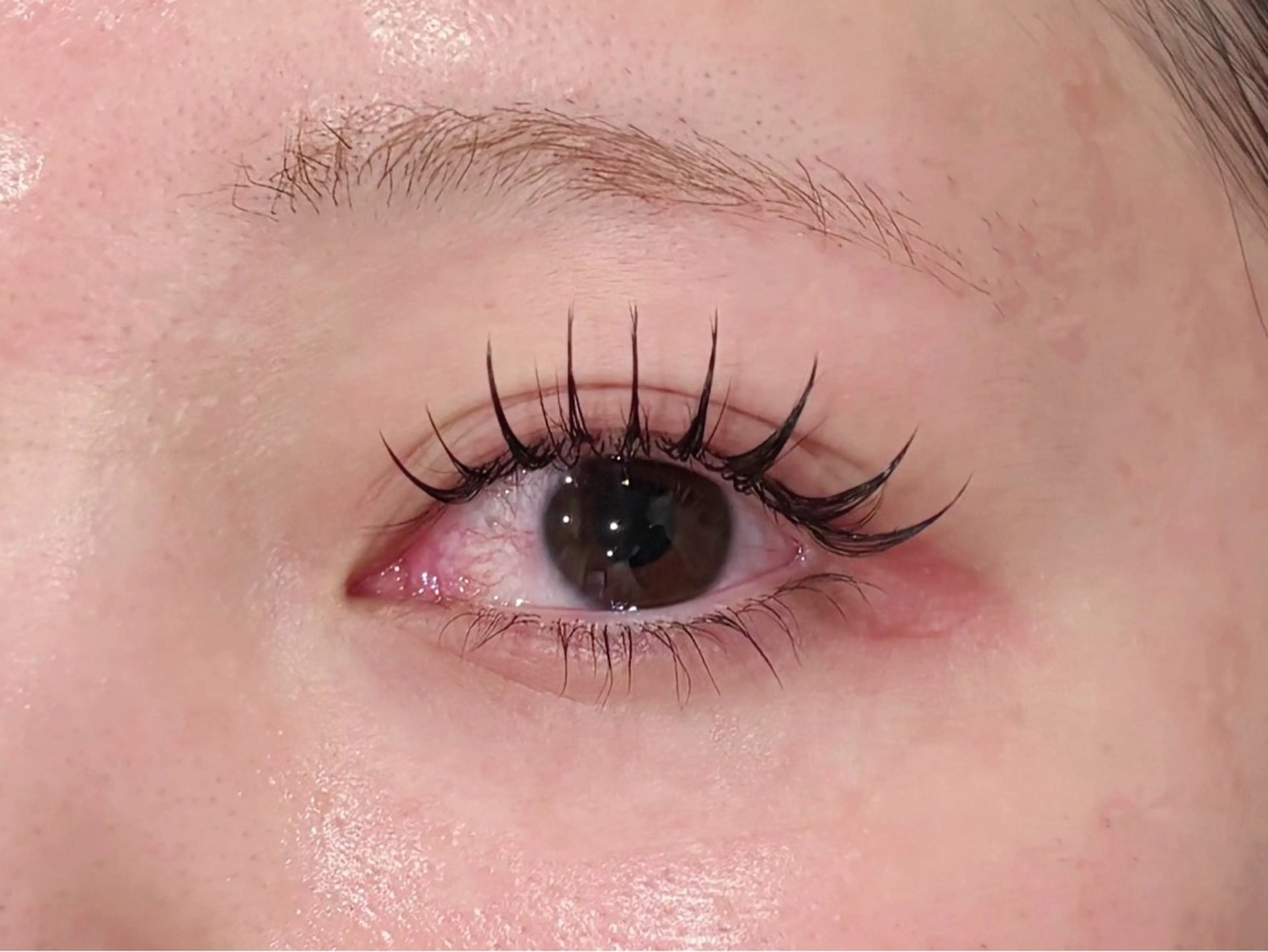 マツエク・マツパ マツパ ❣️高田馬場人気❣️ アイブロウワックスの眉毛・アイブロウイメージ