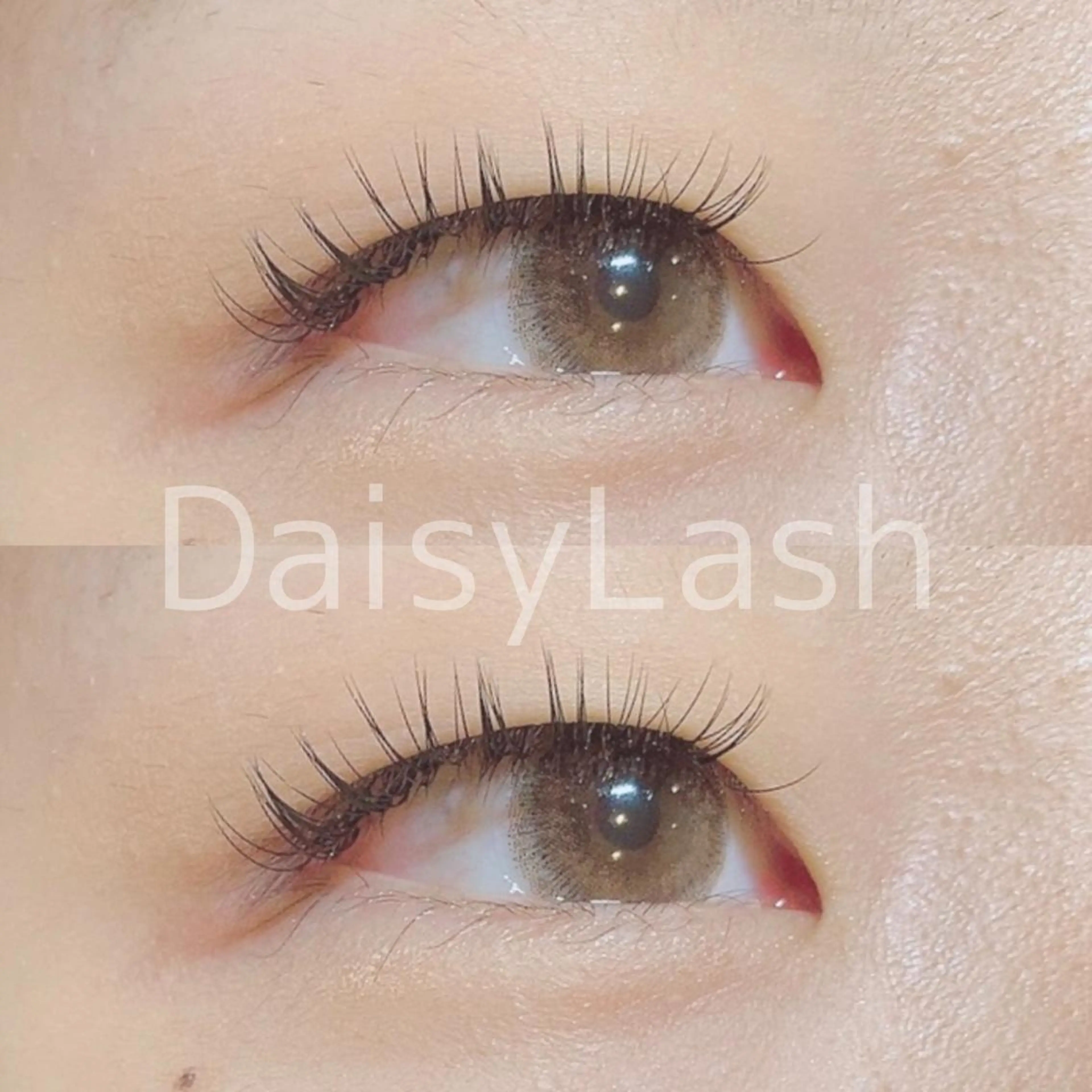 マツエク・マツパ DaisyLash 京橋店のマツエク・マツパデザイン