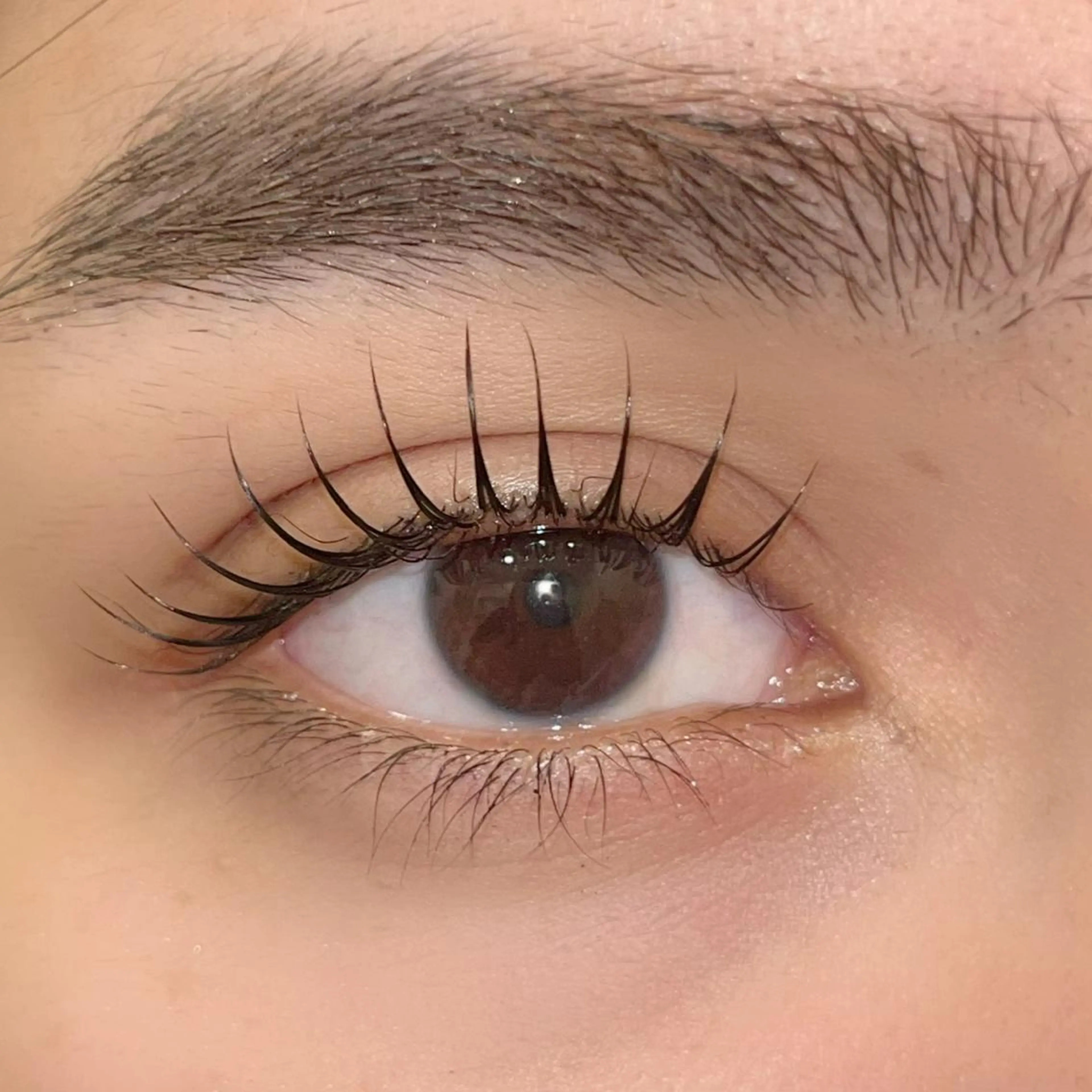 マツエク・マツパ パリジェンヌラッシュリフト まつげパーマ ai一重専門🎀束感 まつげ🫧表参道のマツエク・マツパデザイン