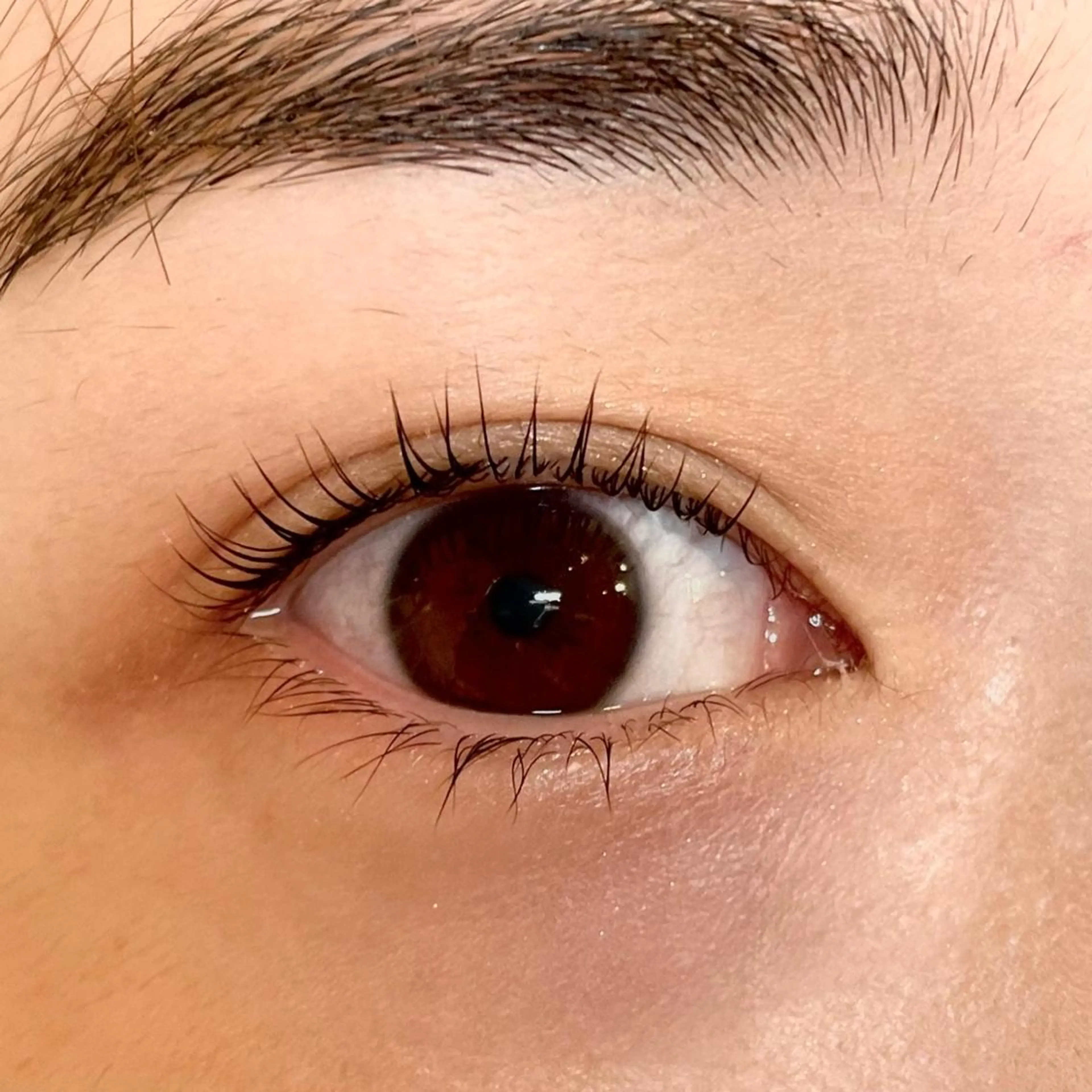 マツエク・マツパ まつげパーマ マツパ Ravicils【ラヴィシル】所属・宮永あゆ まつげパーマ/美眉のマツエク・マツパデザイン