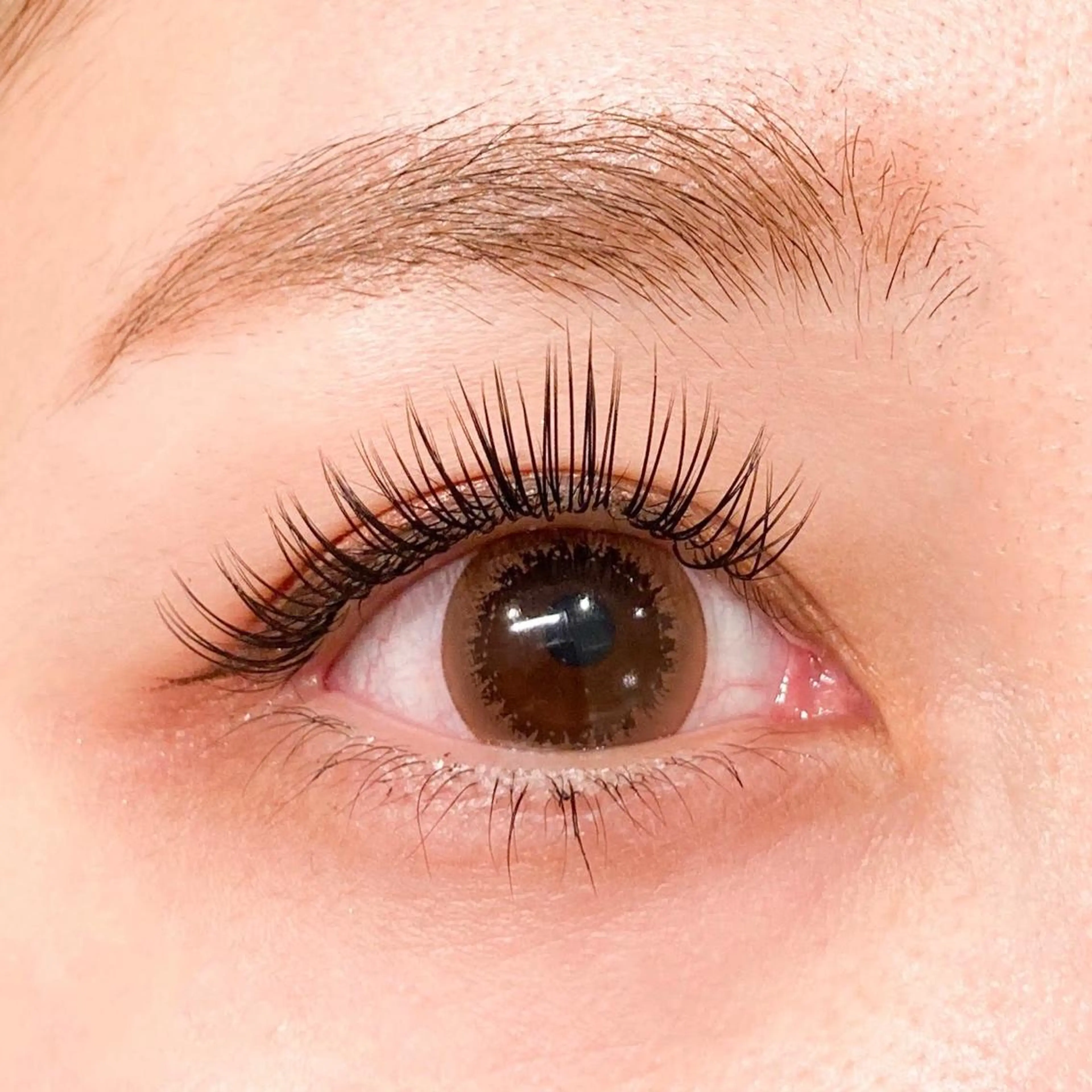 フラットラッシュ80本の写真