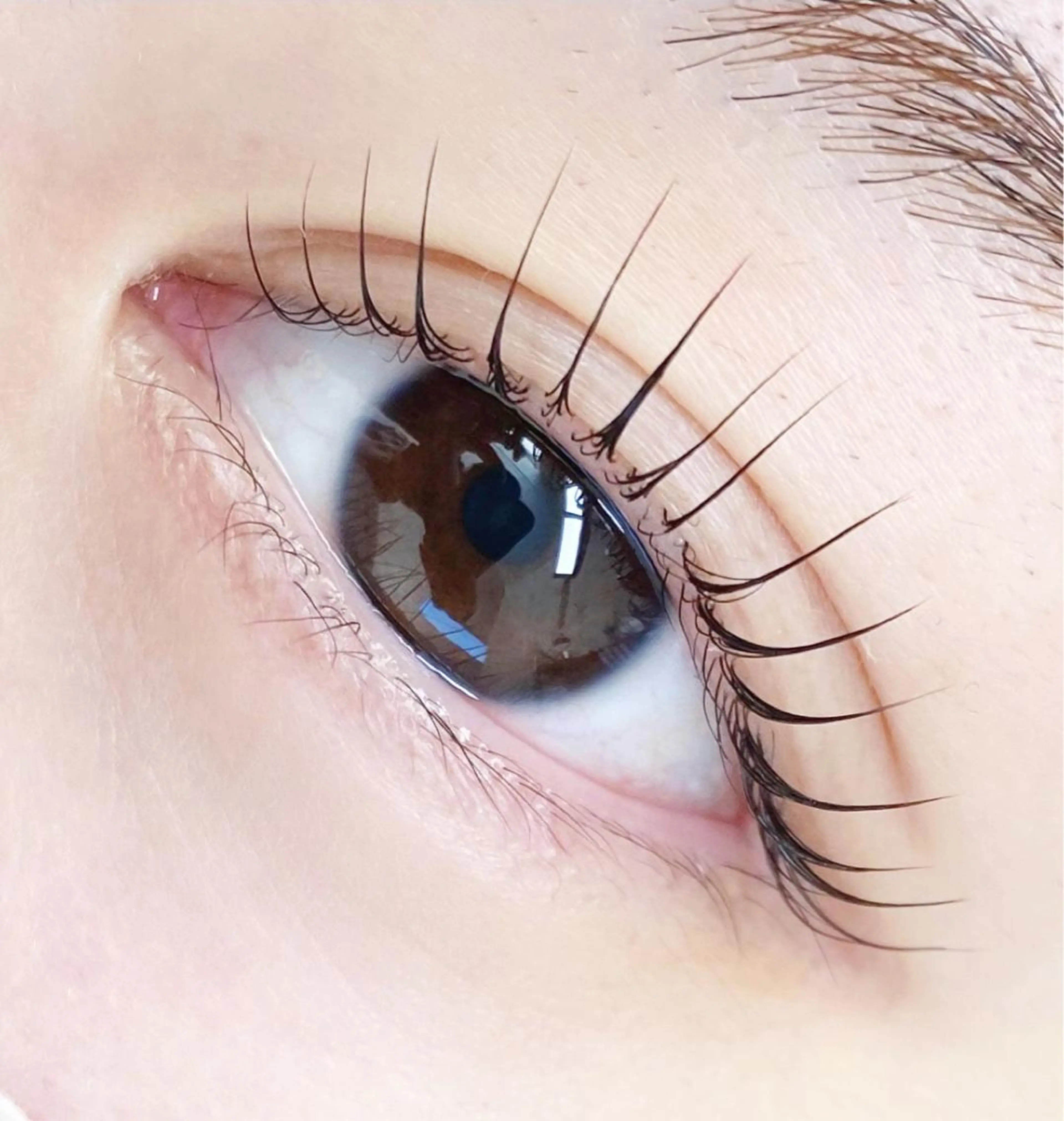 大人気！メーテルカールの写真