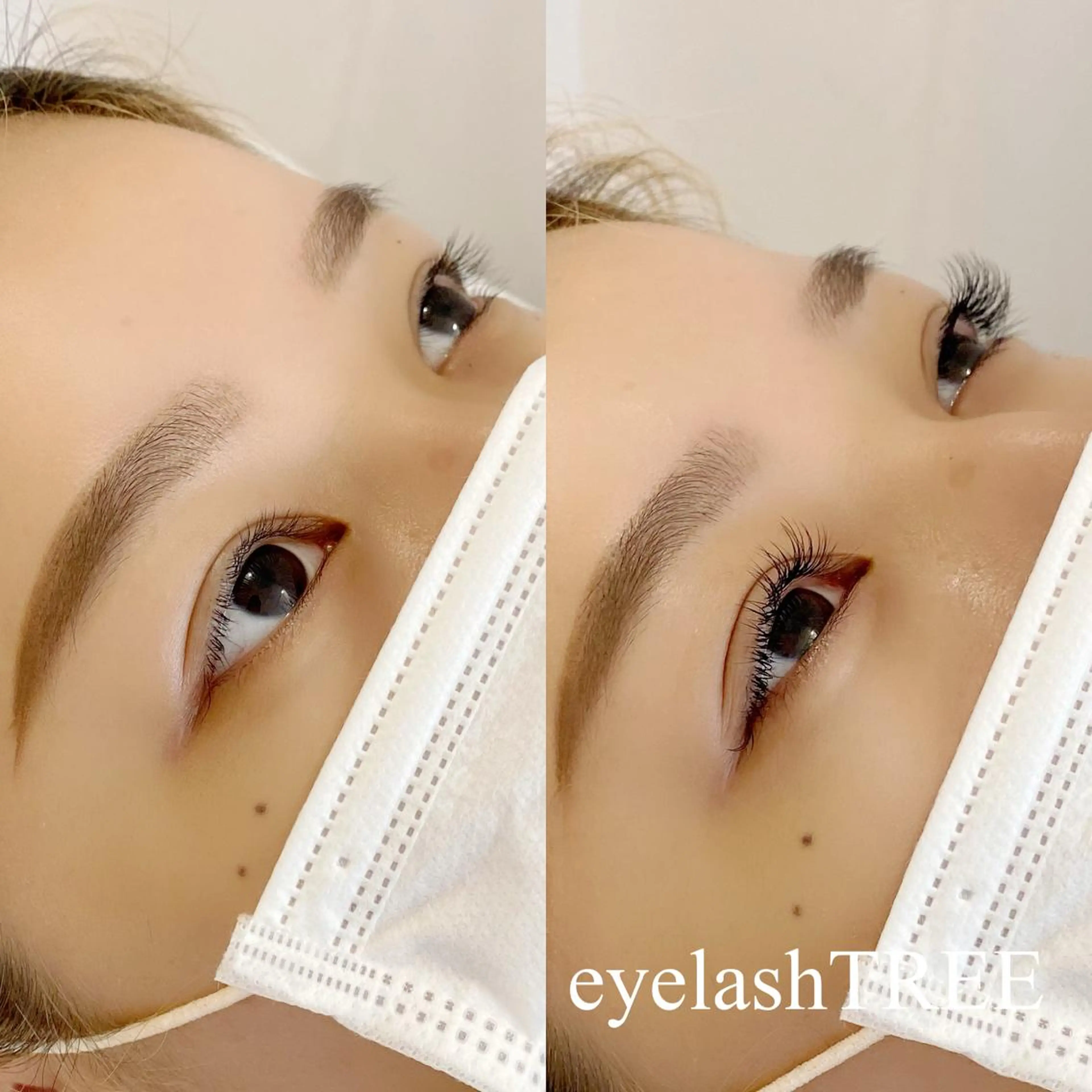 マツエク・マツパ まつげ、毛穴 TREEのエステ・リラクイメージ