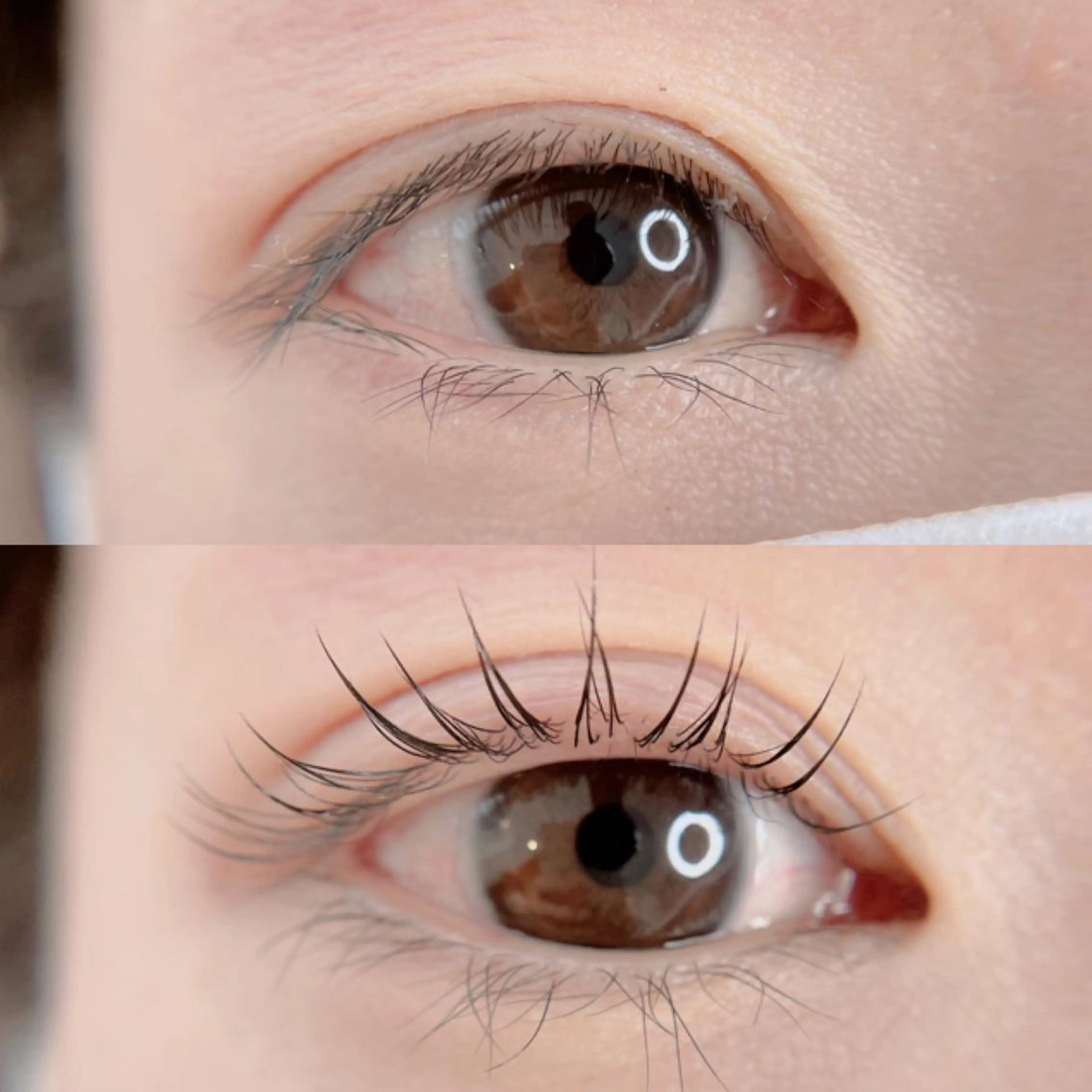 マツエク・マツパ ［LUNA］EYE ⏾ EYEBROWのマツエク・マツパデザイン