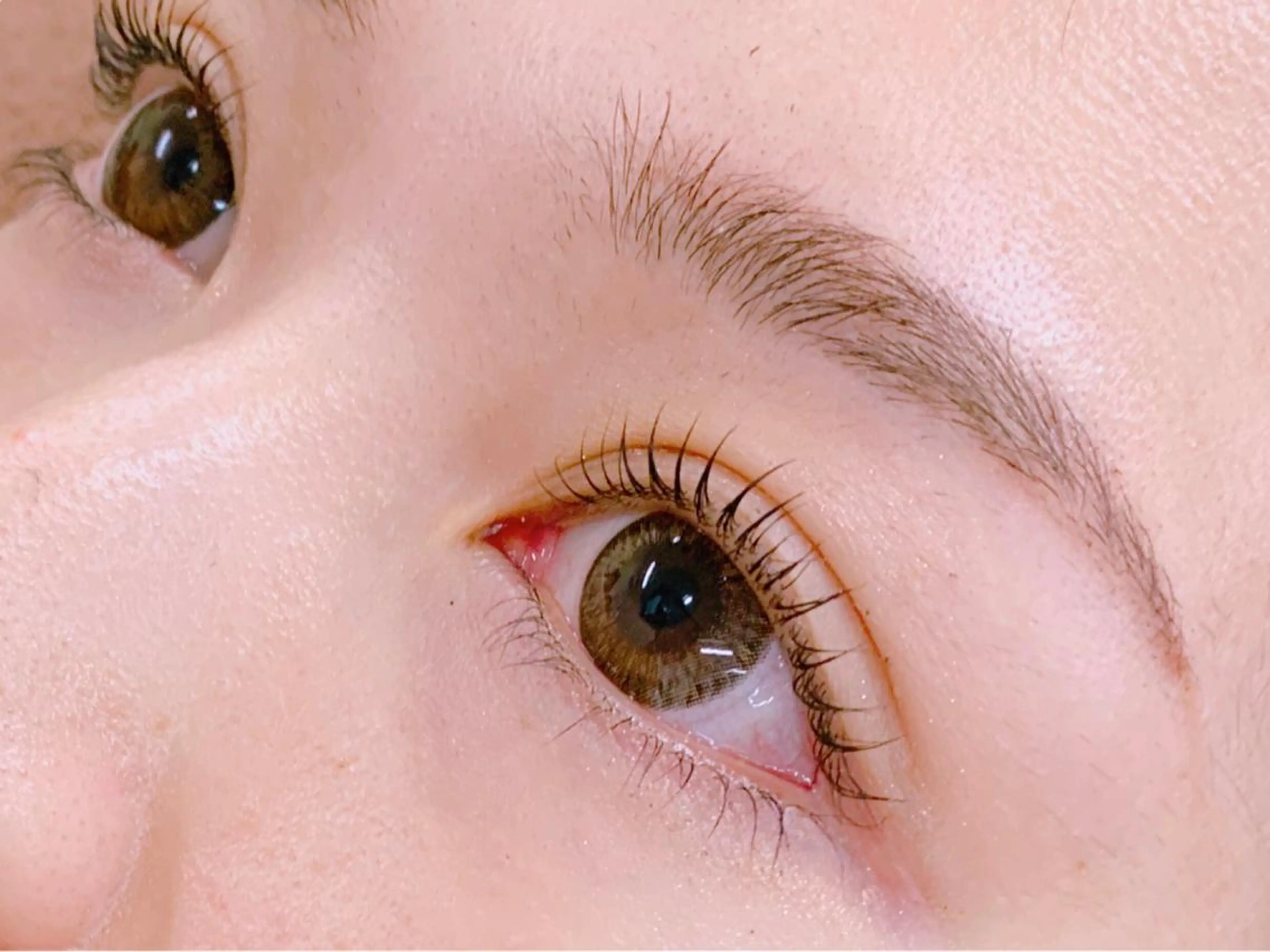 🌸大人気まつ毛カール🌸 (上のみ) 嬉しいトリートメント付き🤍［中野/高円寺/阿佐ヶ谷］の写真