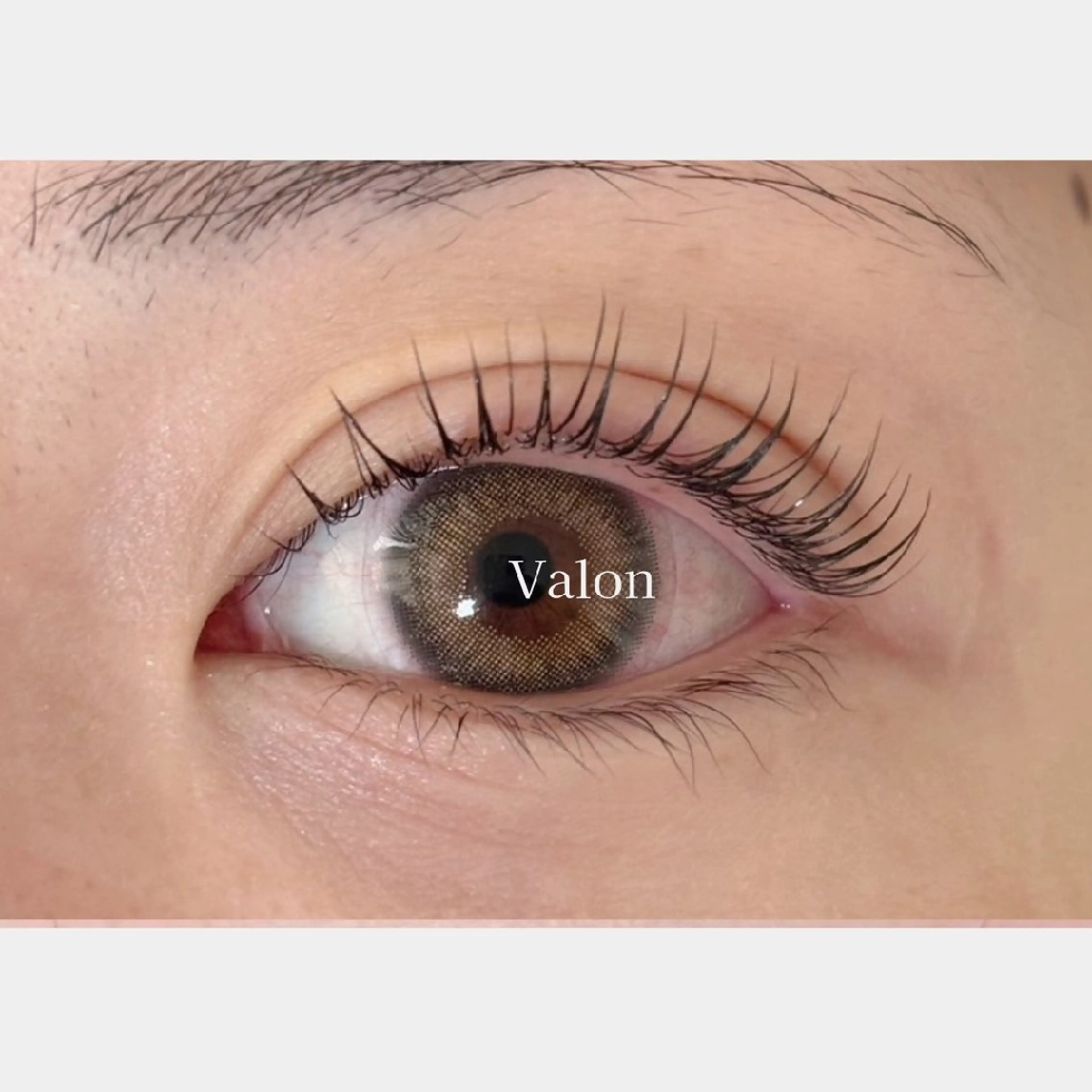 【4月限定】洗浄+まつげパーマ(コーティング付き)の写真