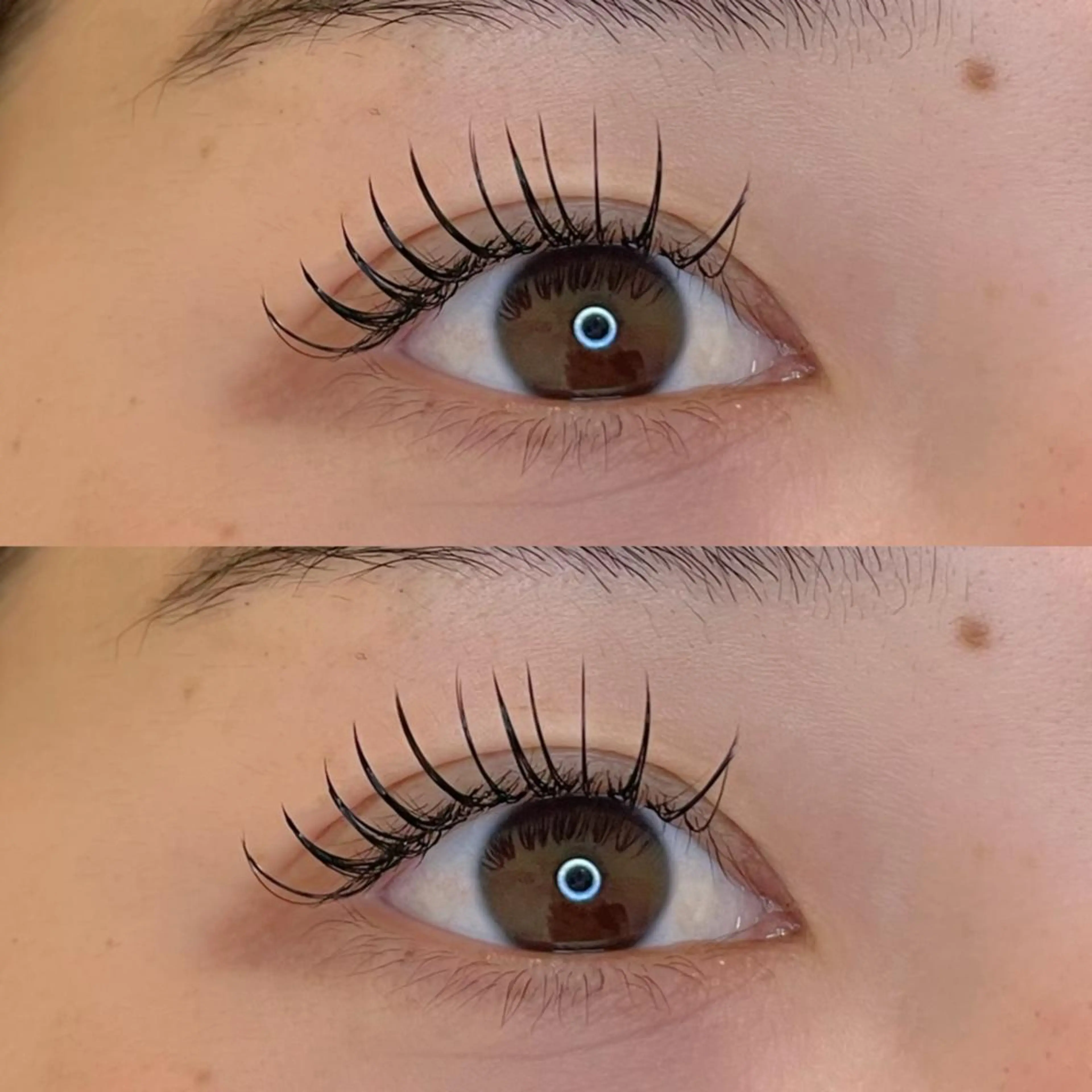 ⭐️フラットラッシュ 60本【コーティング付き】オフありの場合＋¥550の写真