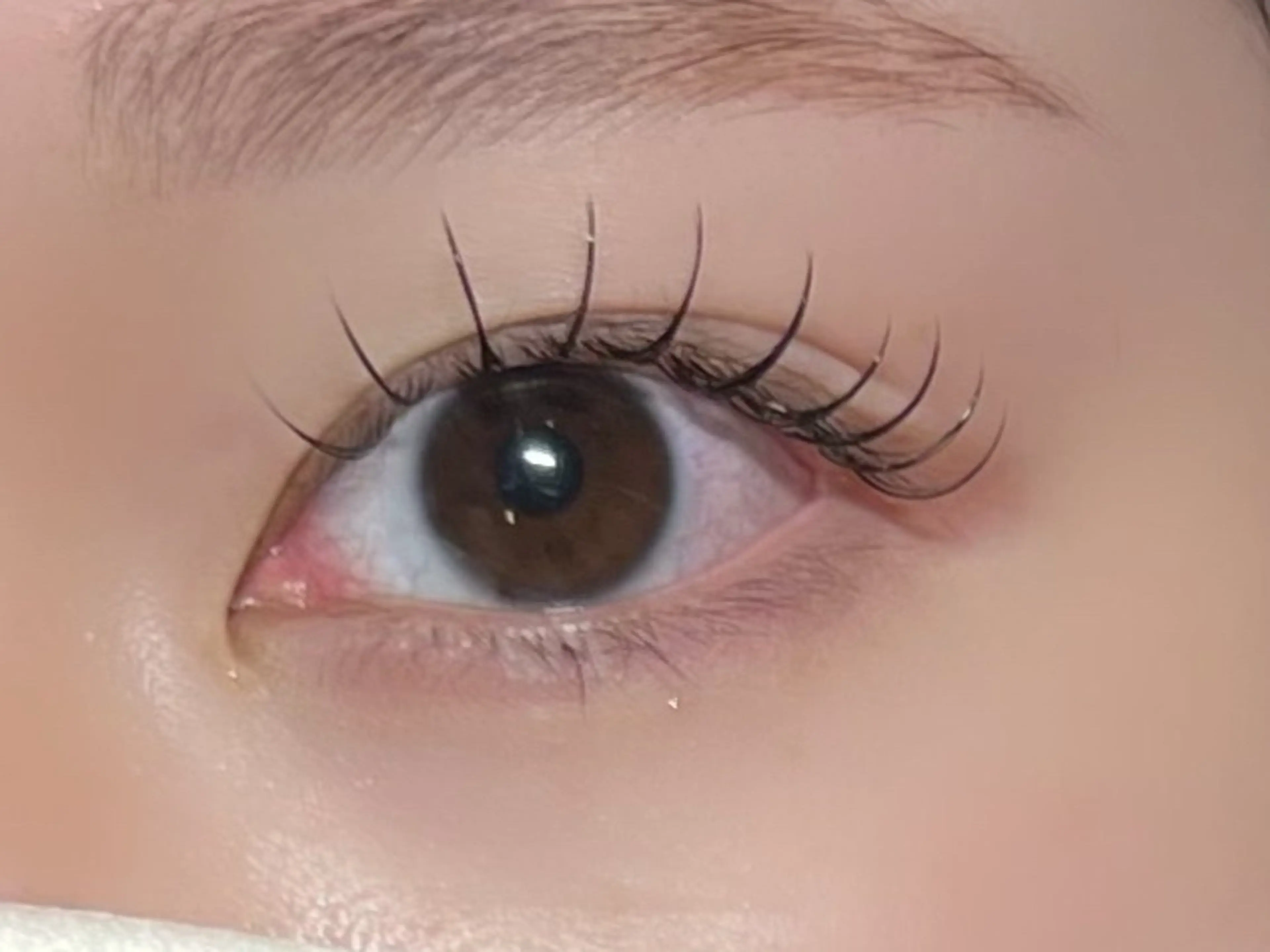 【新規限定】フラットラッシュ80本or100本の写真