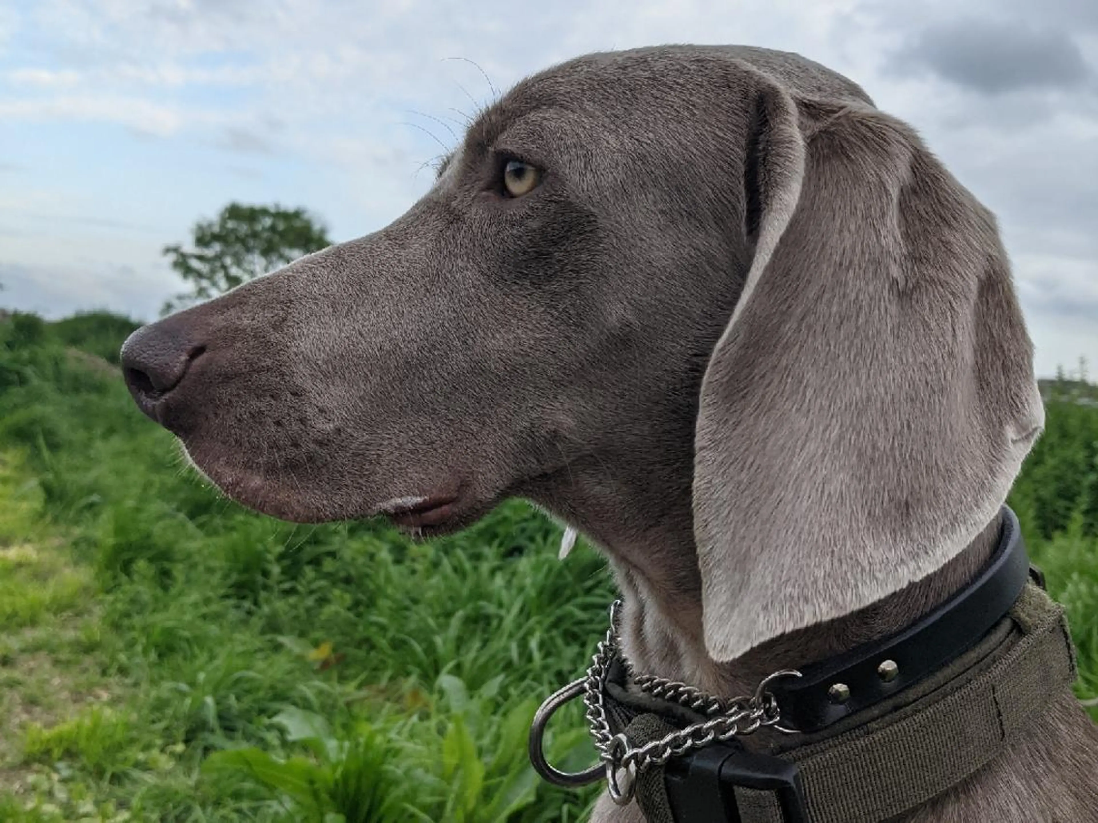 shimizu yuuのエステ・リラクイメージ