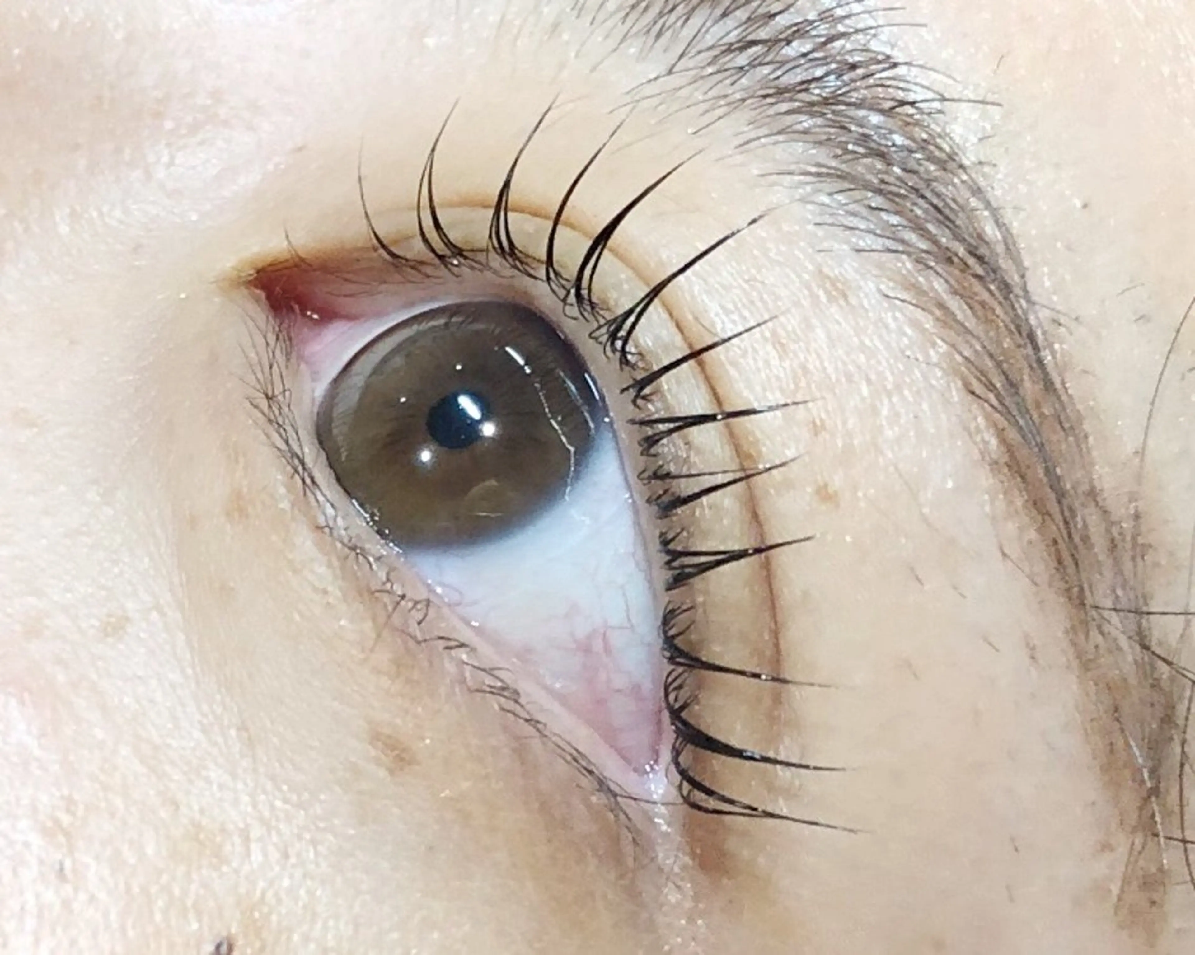 マツエク・マツパ dolce宇田川店 🪞YUKAのマツエク・マツパデザイン