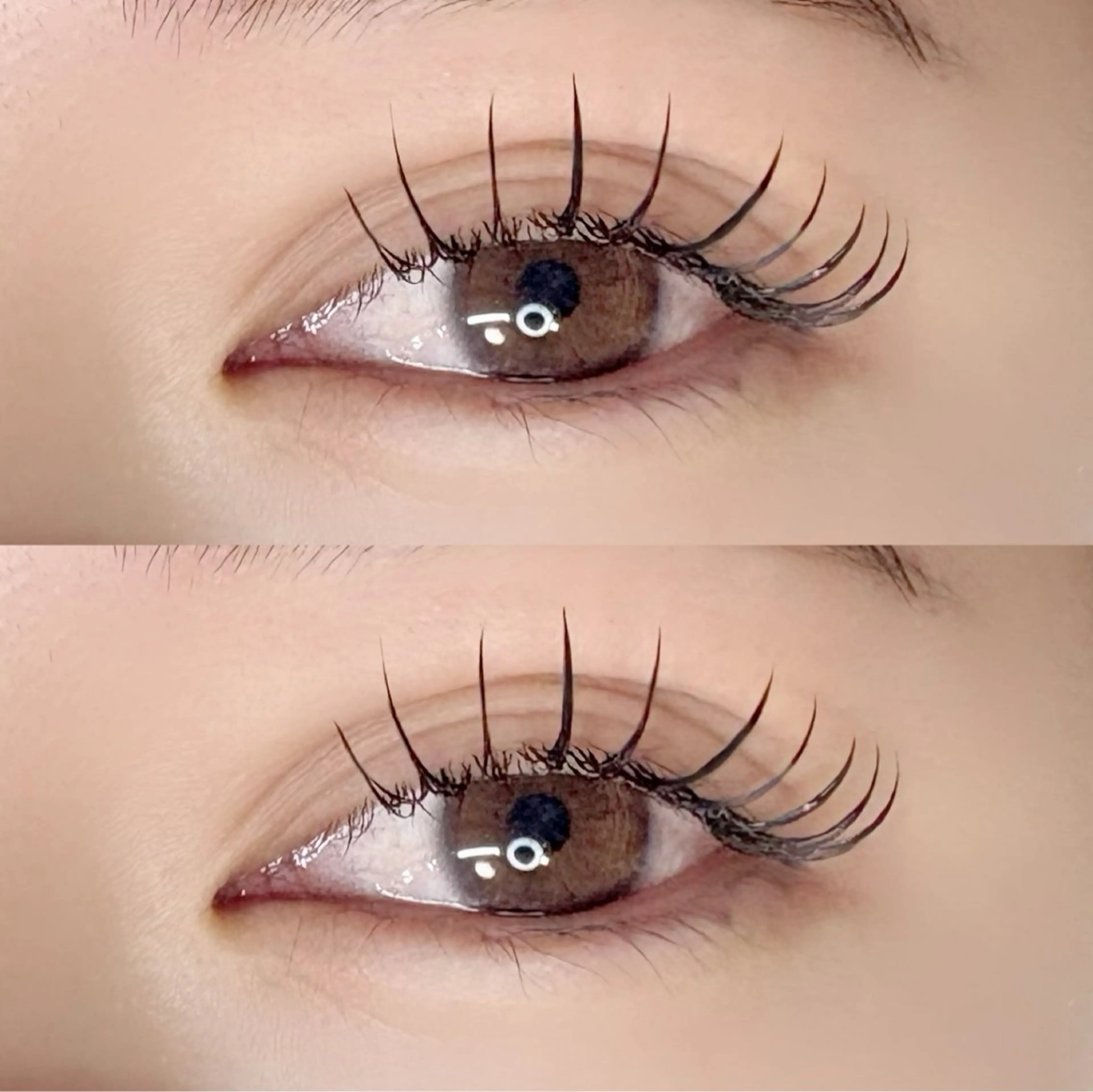 マツエク・マツパ フラットラッシュ マツエク Chisato🤍池 袋/マツパ/マツエクのマツエク・マツパデザイン