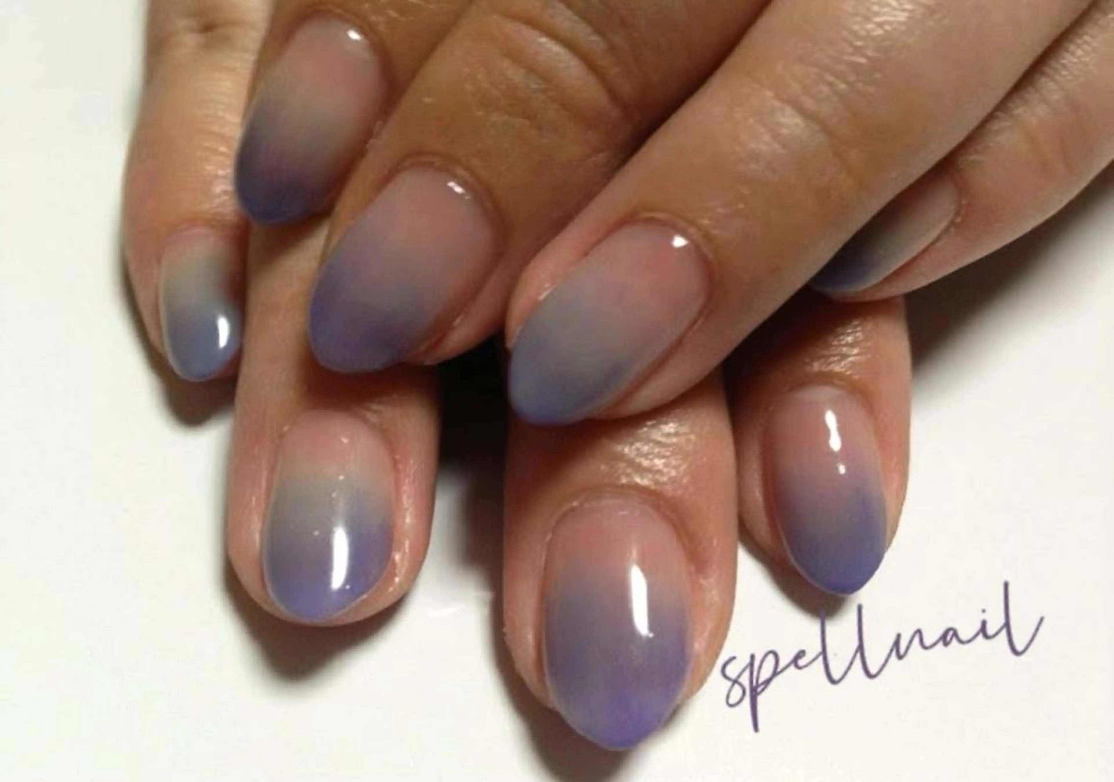 SHIKI モリンガ蒸し/水光肌のエステ・リラクイメージ