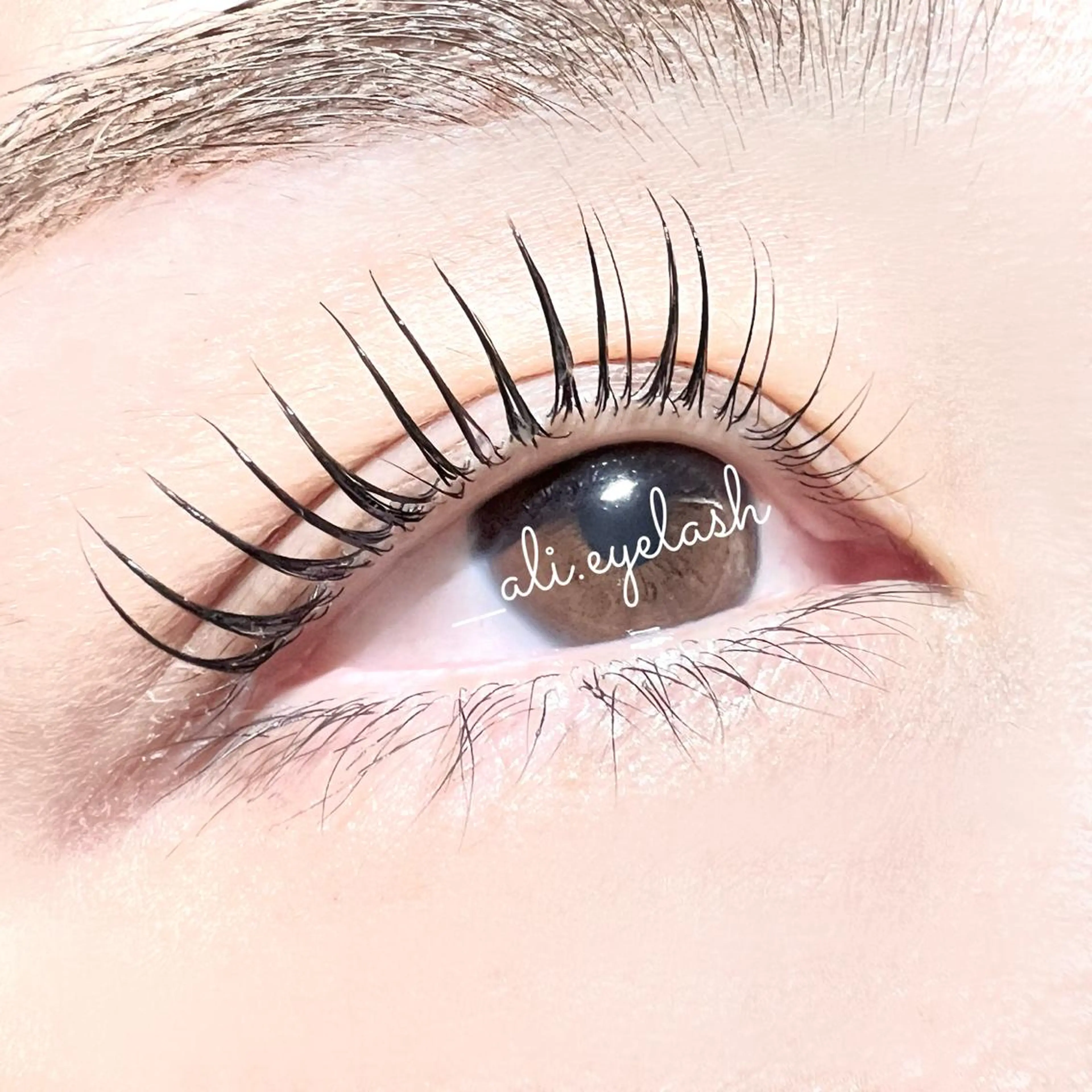 マツエク・マツパ 束感まつ毛 Le futur💐 。のマツエク・マツパデザイン