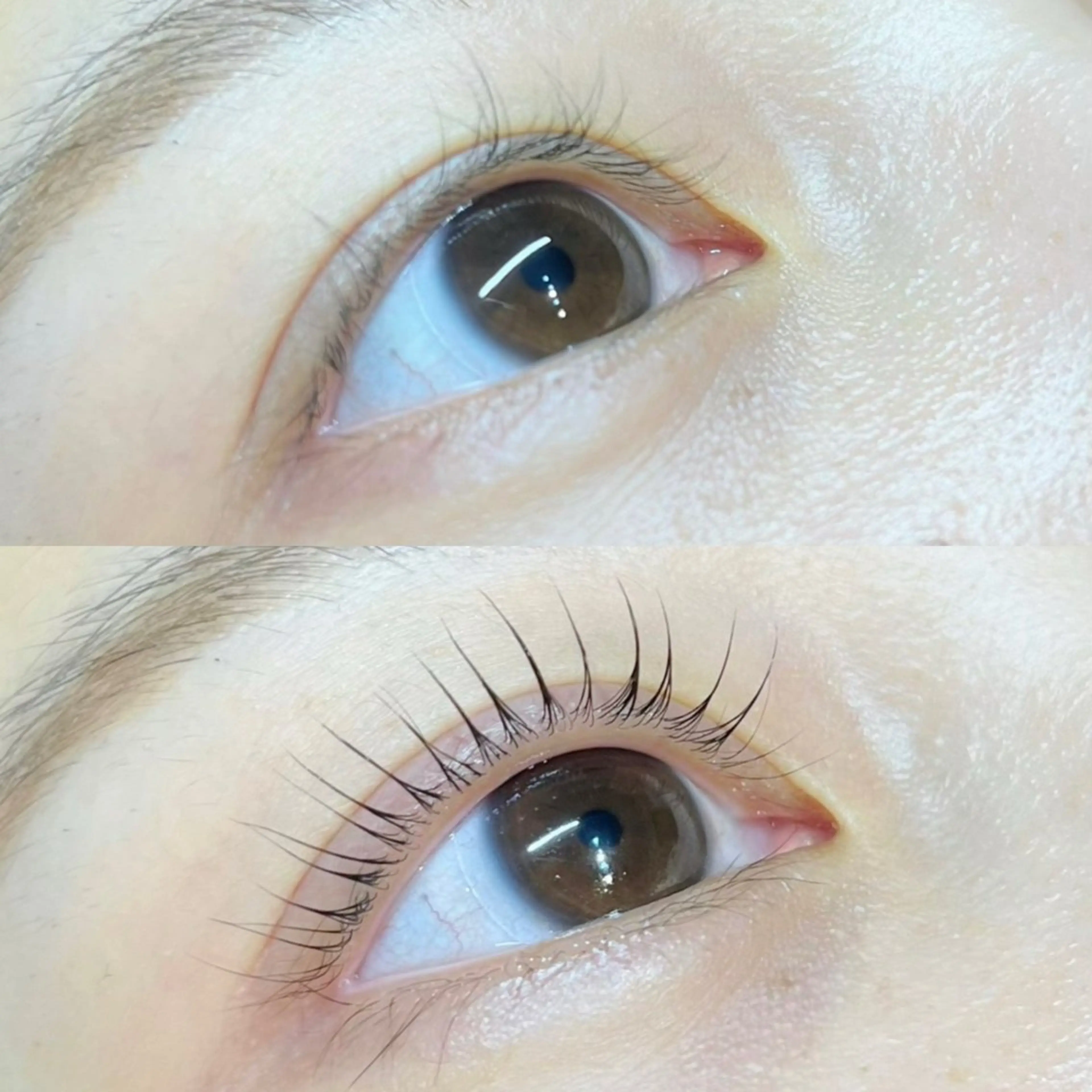 マツエク・マツパ マツパ 恵比寿駅4分🩶 垢抜け眉&まつ毛🫧の眉毛・アイブロウイメージ