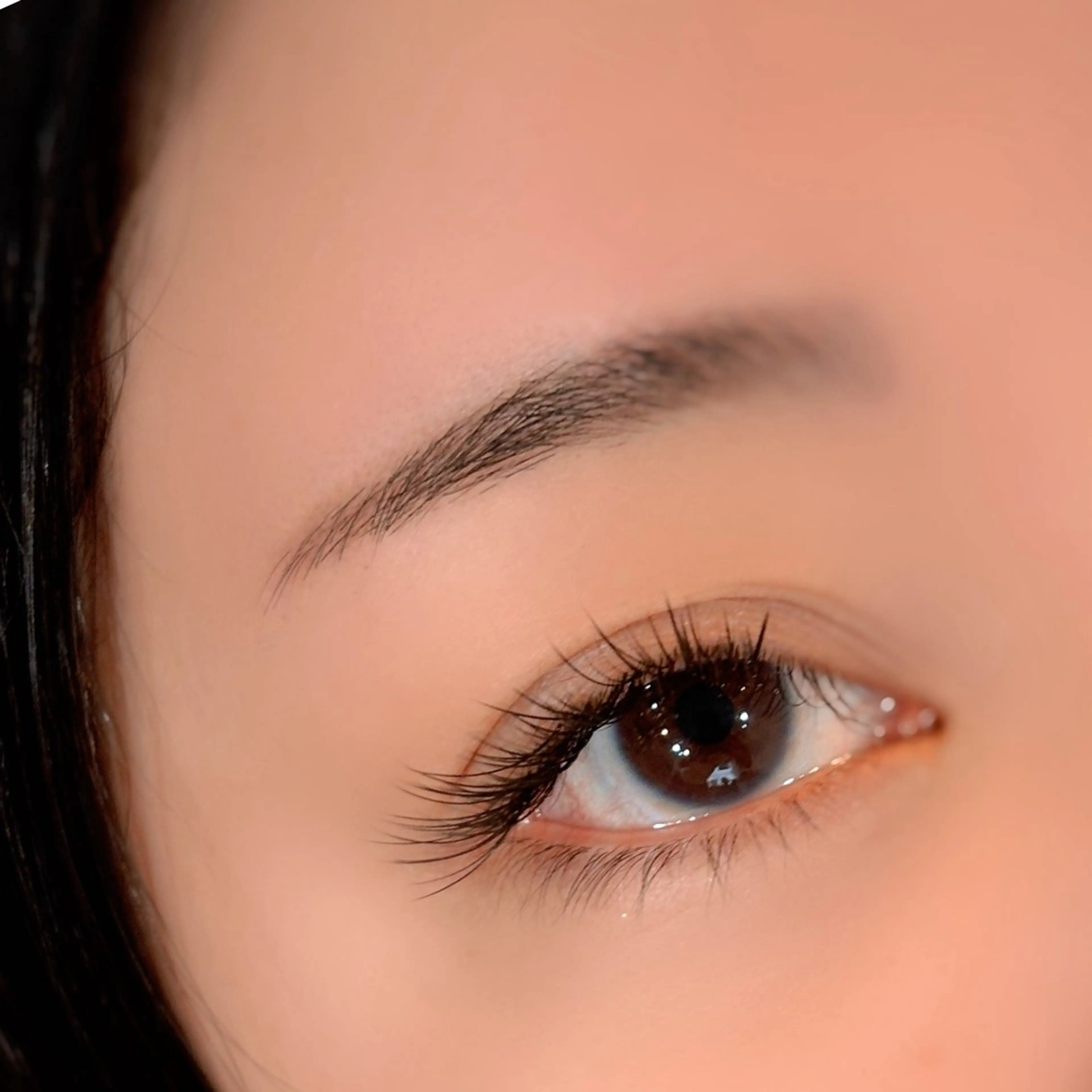 最高級プラチナセーブル100本　付け替えオフ付き　支払い現金のみ対応の写真