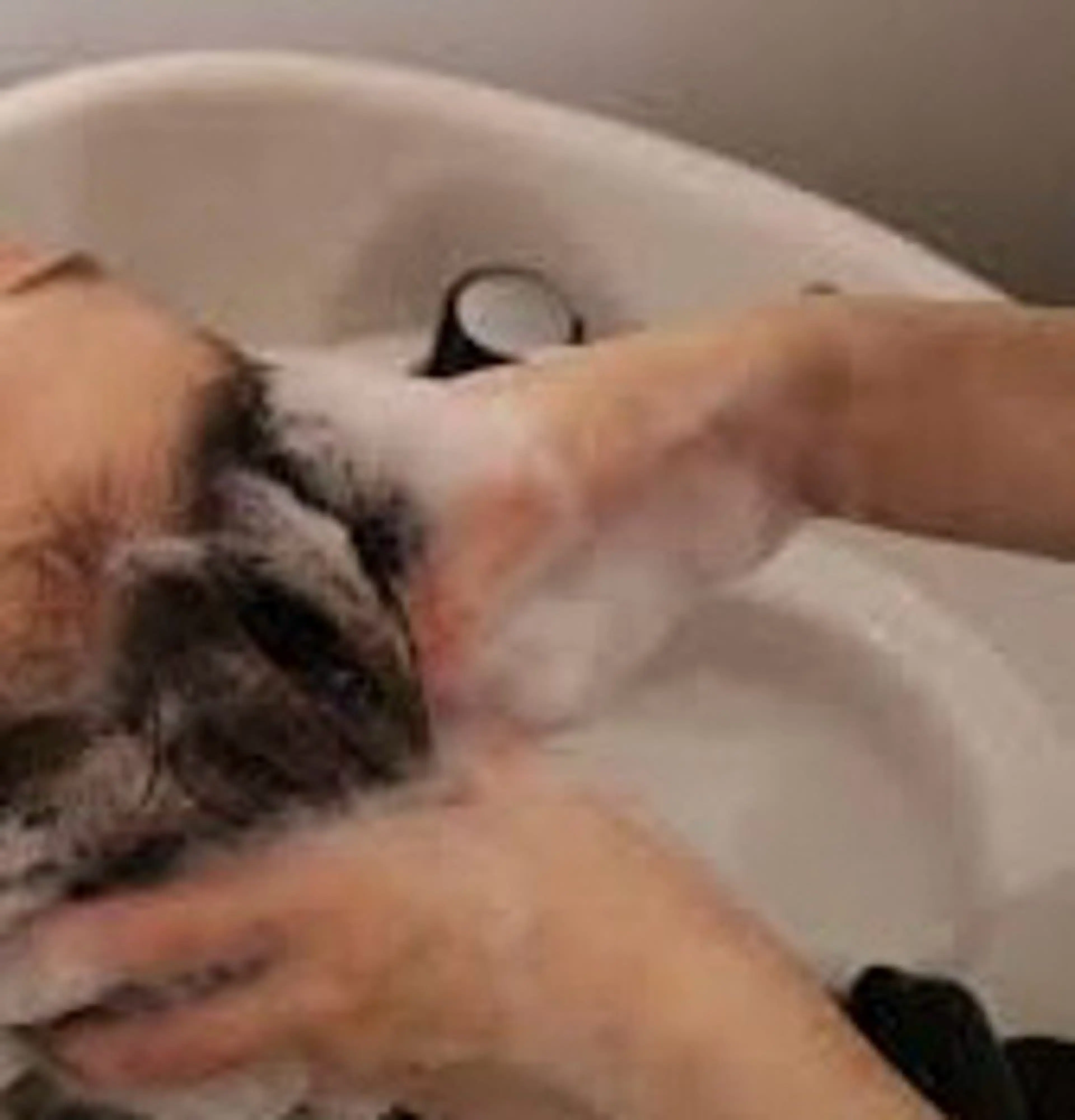 【炭酸spa】筋膜リリースヘッドスパ30分（ブロー込）の写真