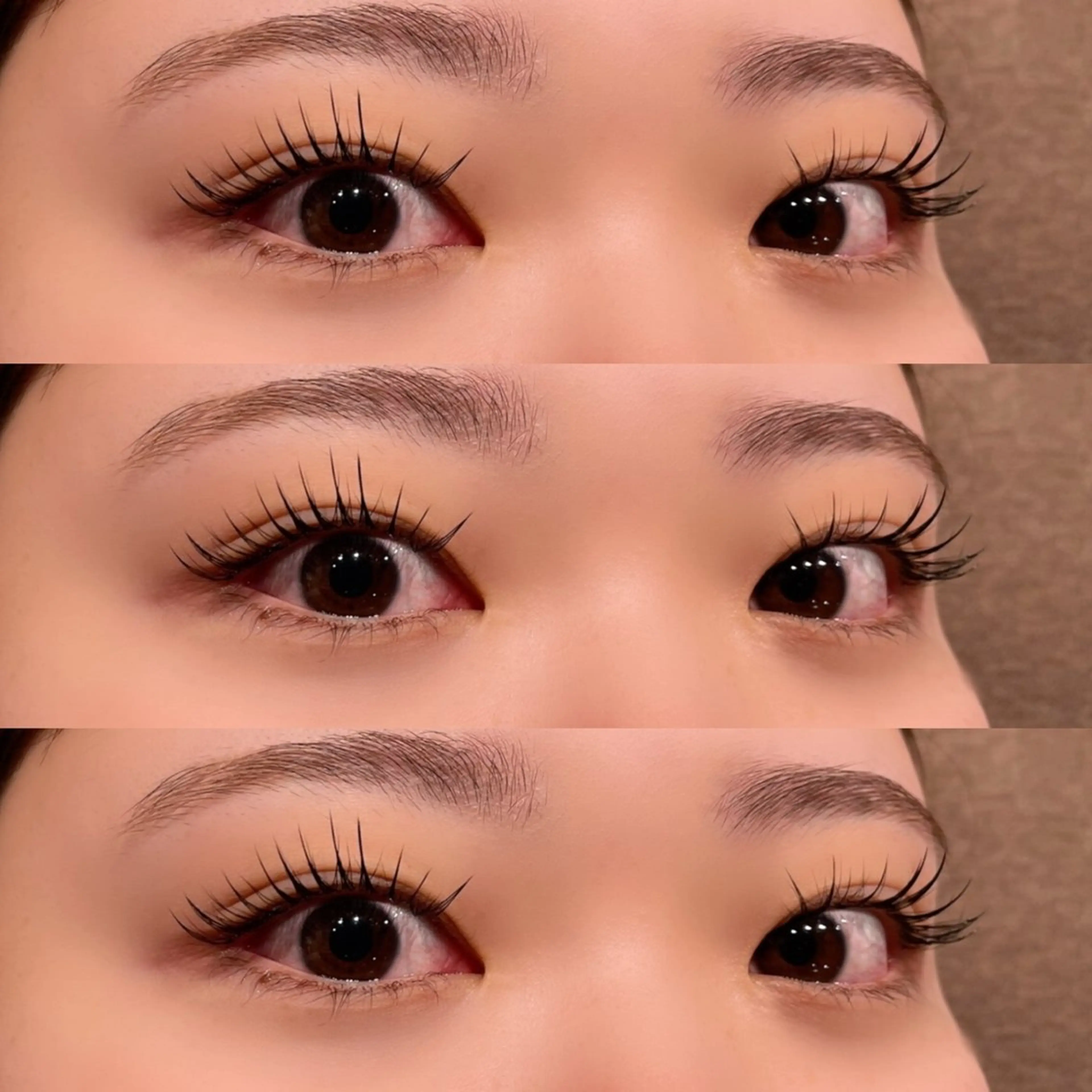 パリジェンヌラッシュリフト＆フラットラッシュ100本の写真