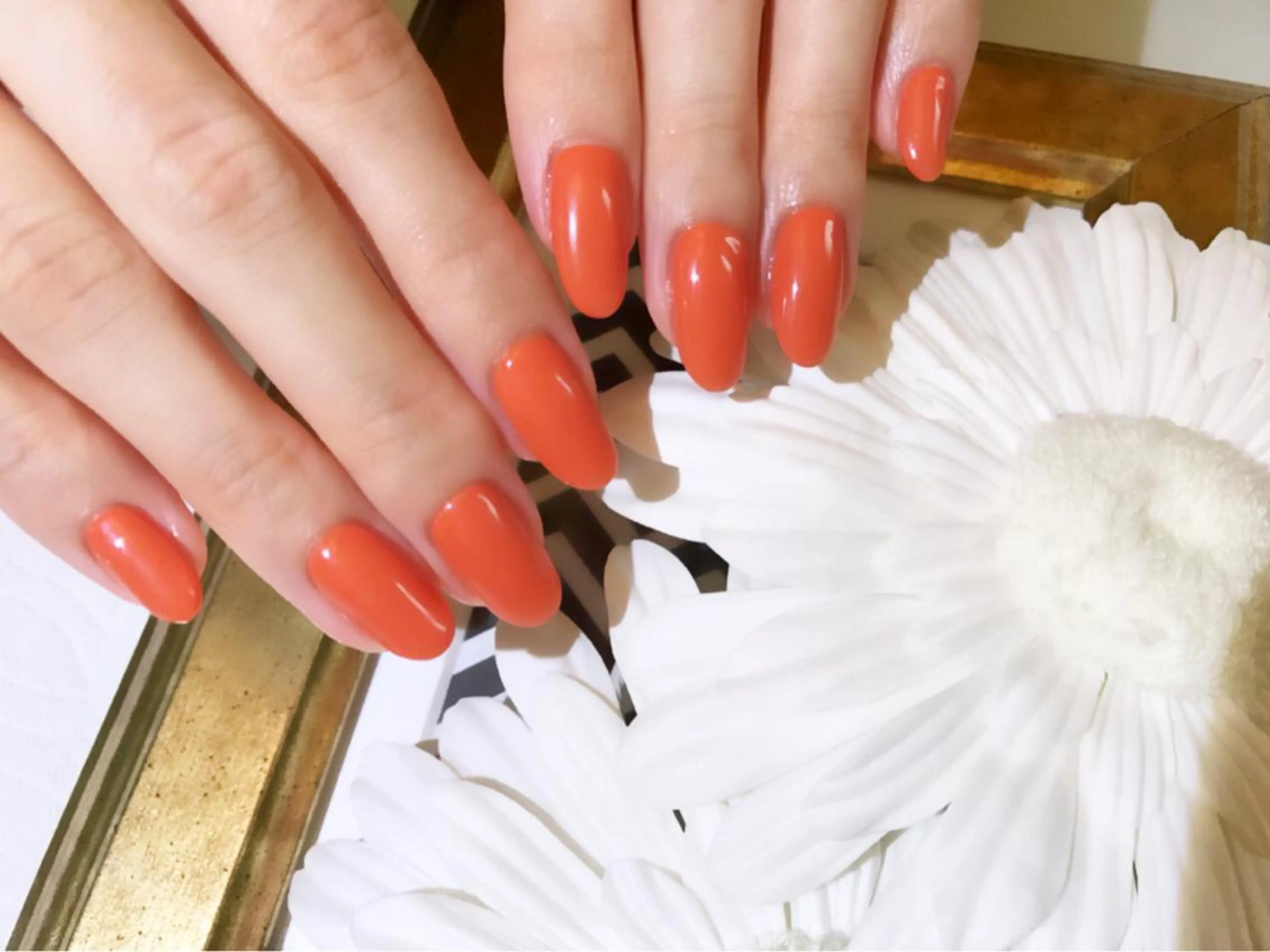 ワンカラー🌷パラジェル(オフ込)の写真