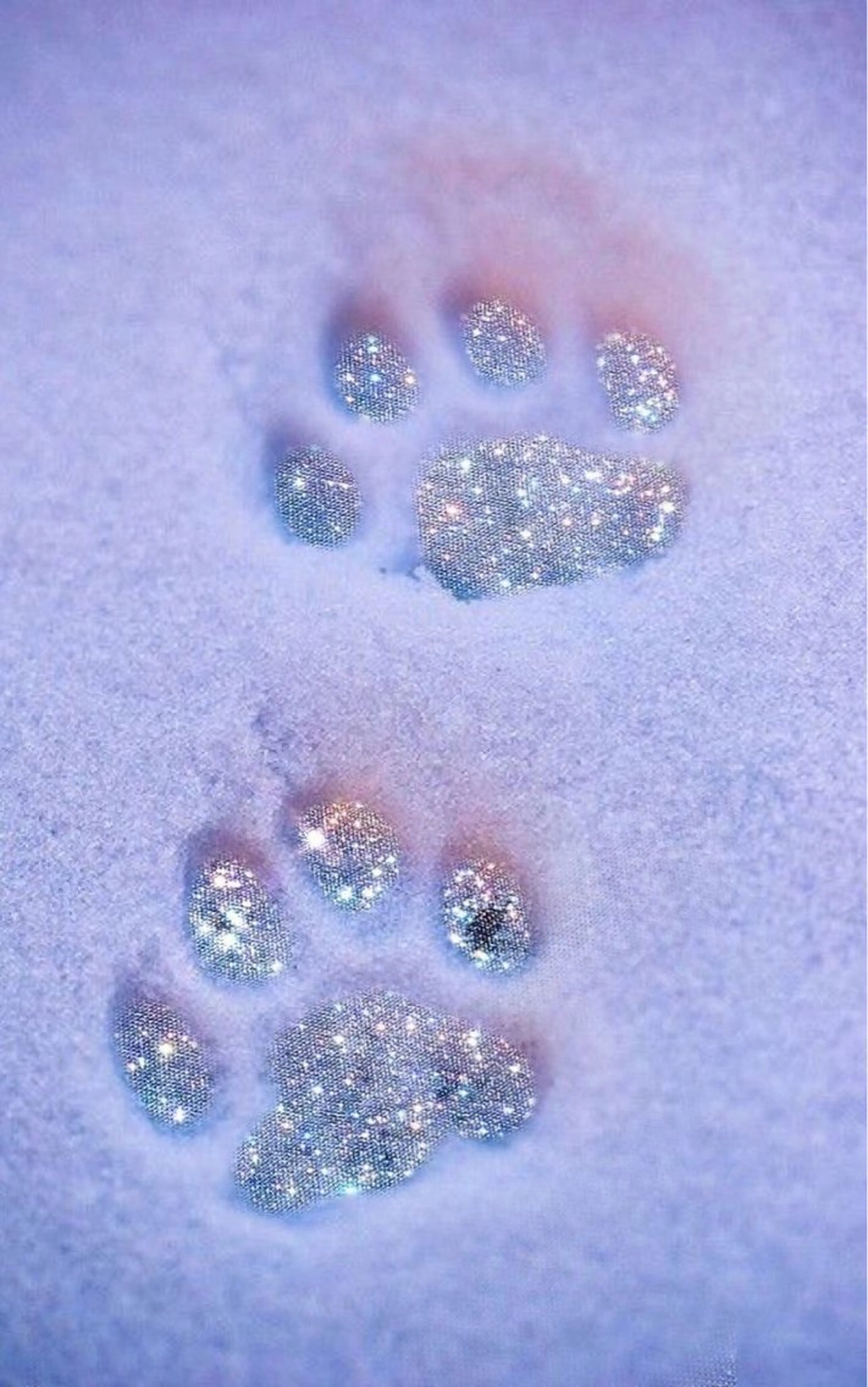 マツエク・マツパ eyelist. mizuki🐈‍⬛のマツエク・マツパデザイン