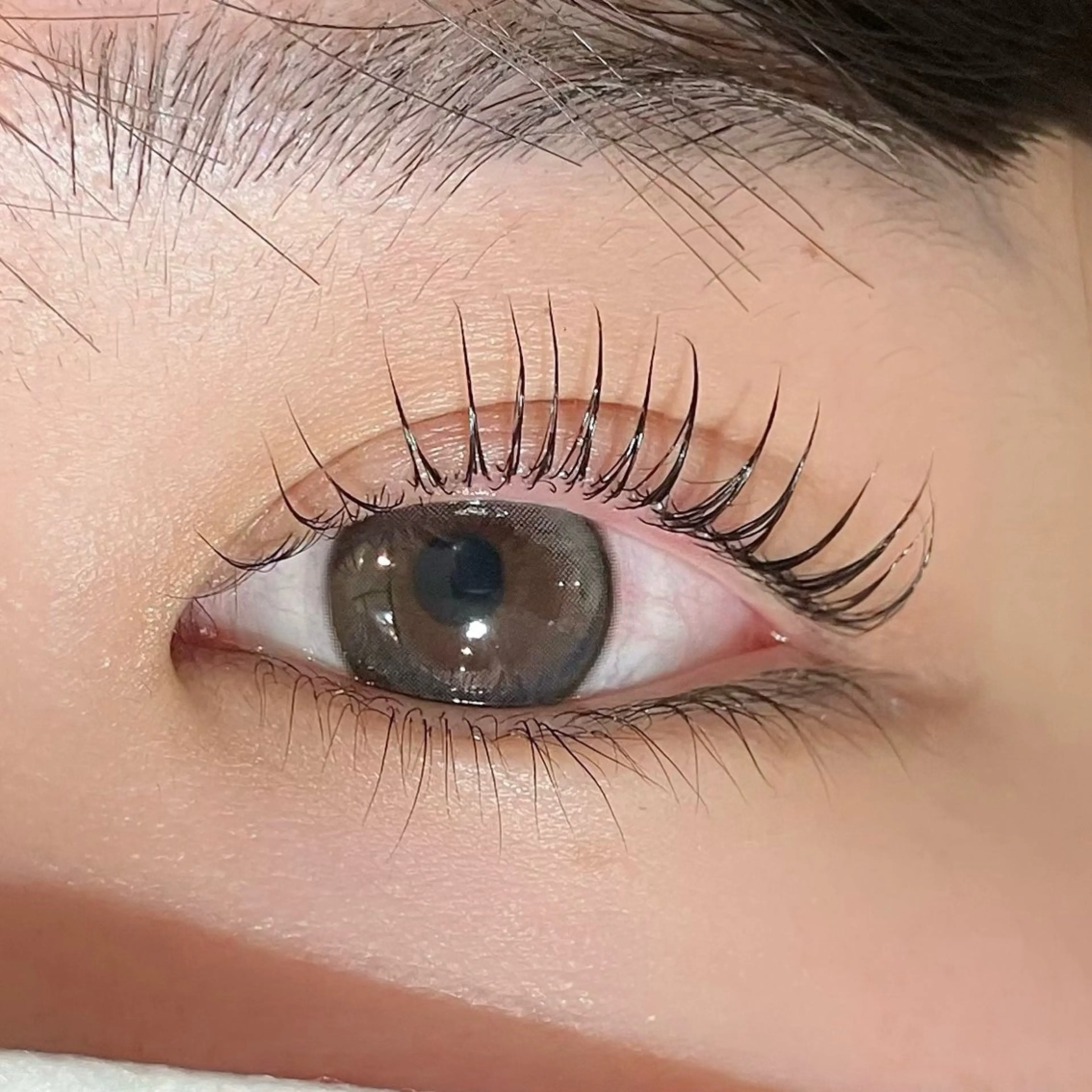 マツエク・マツパ パリジェンヌラッシュリフト bunny eyes 有本のマツエク・マツパデザイン