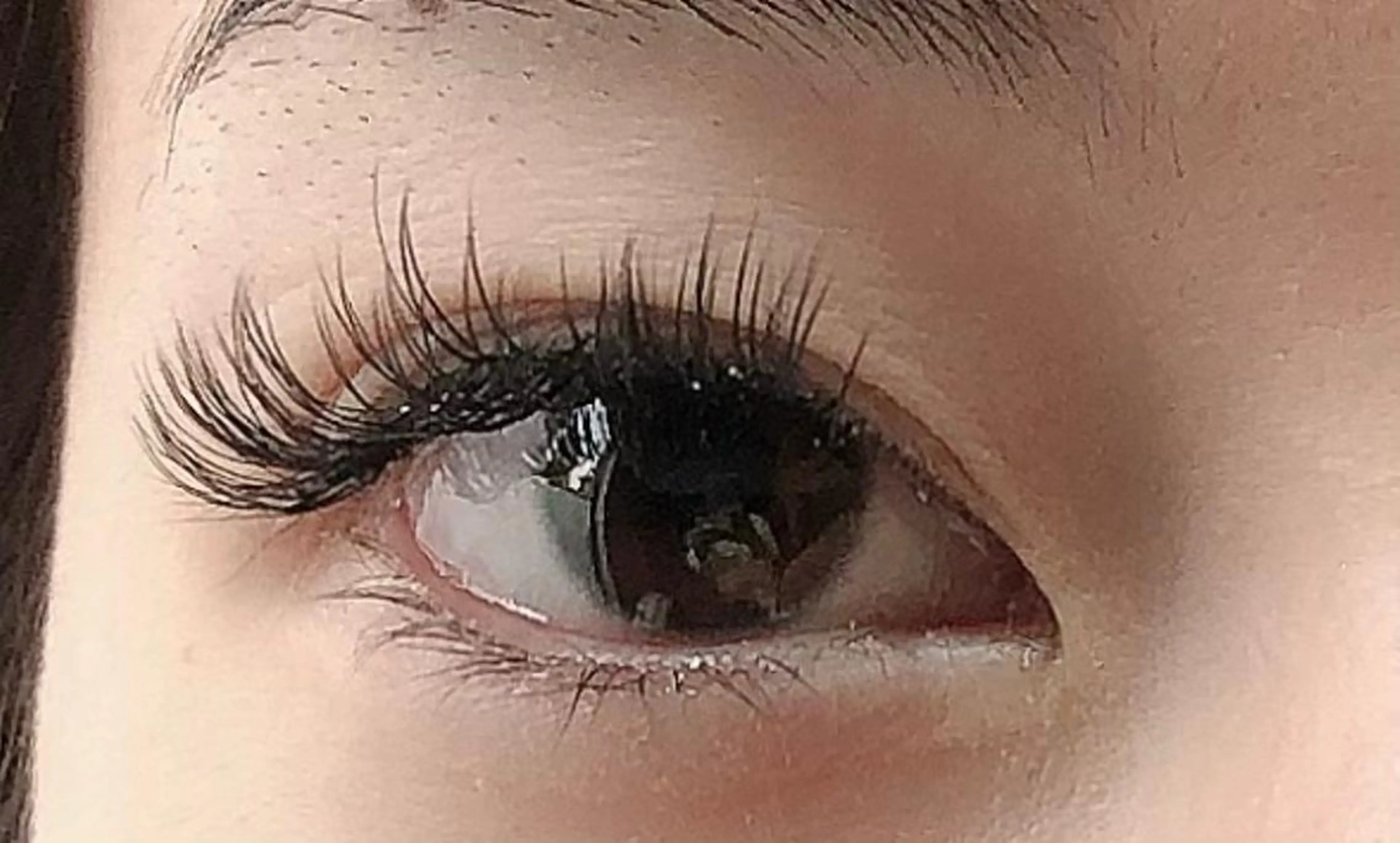 バインドロック&フラットラッシュ                   コーティング付の写真