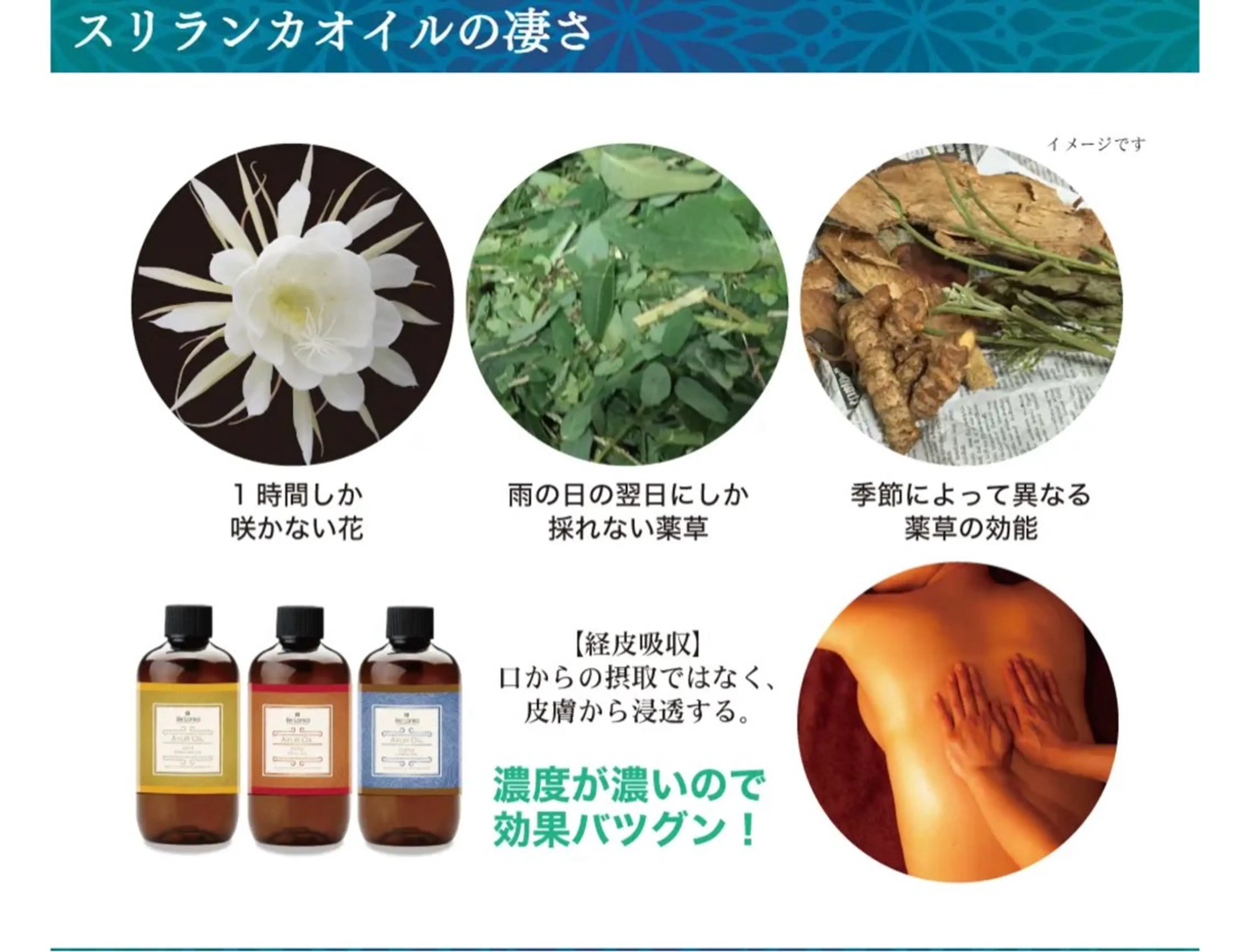 エステ リラク SlowGarden 体質肌質改善サロンのヘアスタイル