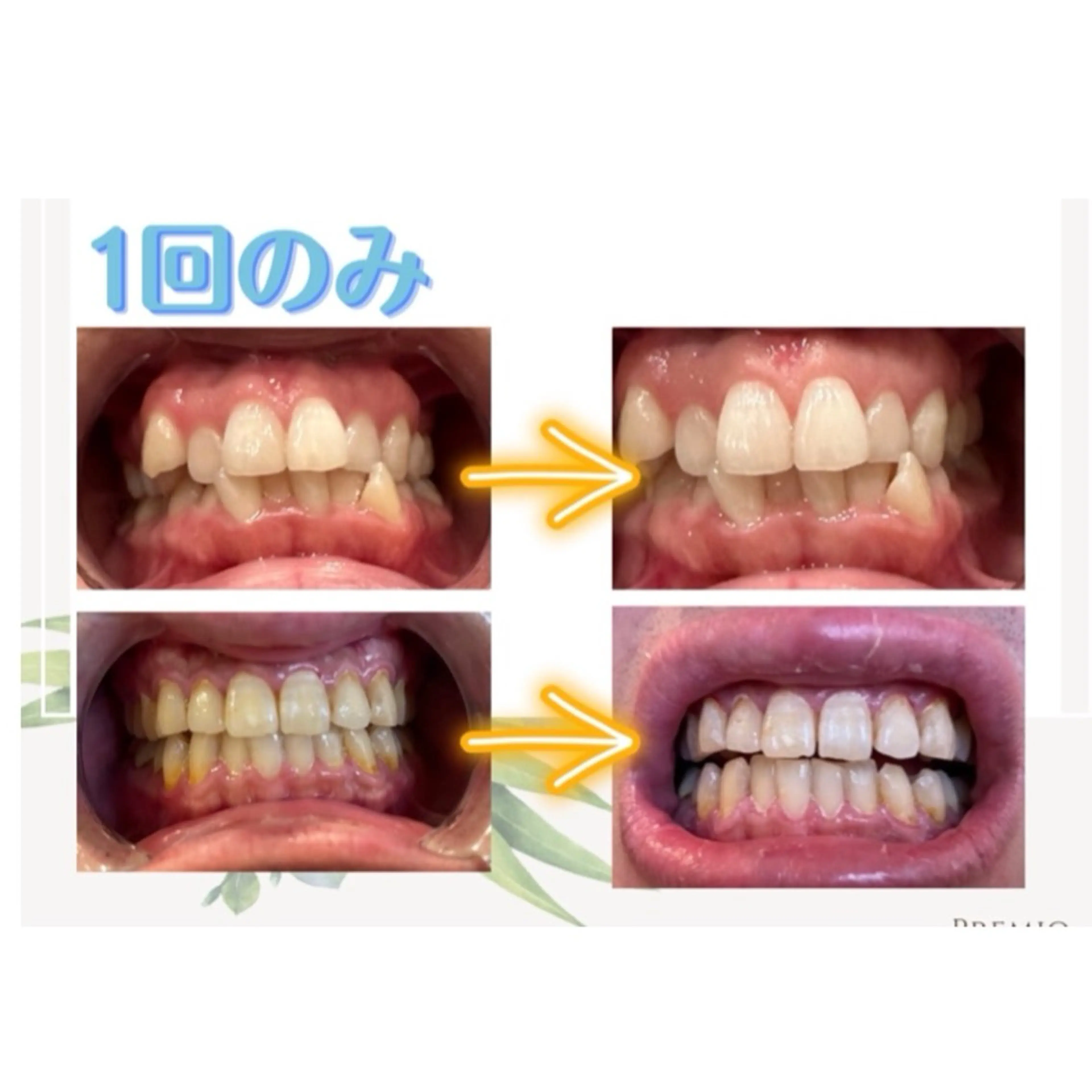 雛菊-hinagiku-所属・雛菊 -hinagiku-のその他イメージ