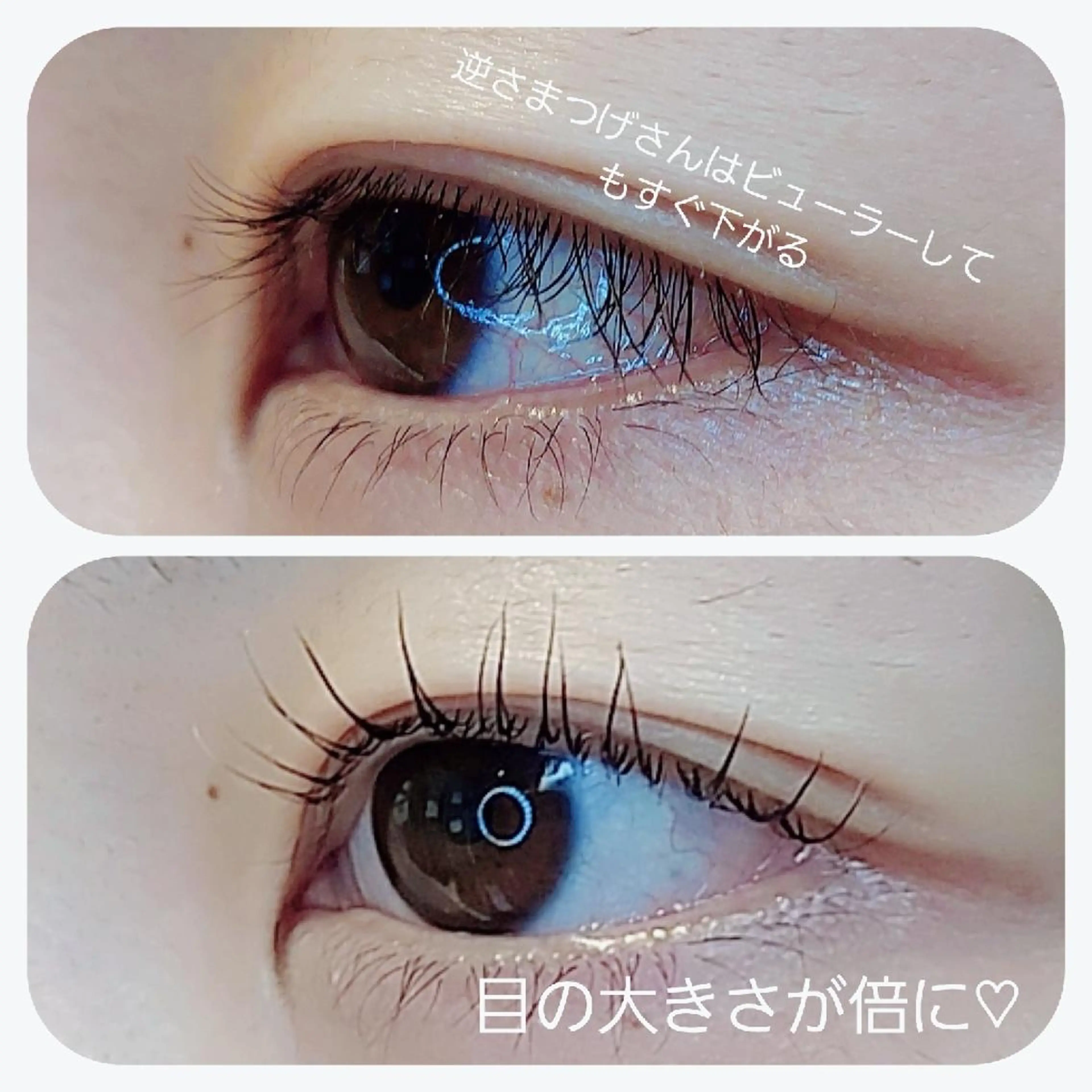 マツエク・マツパ eyelash Recona 所属・eyelash  Recona のマツエク・マツパデザイン