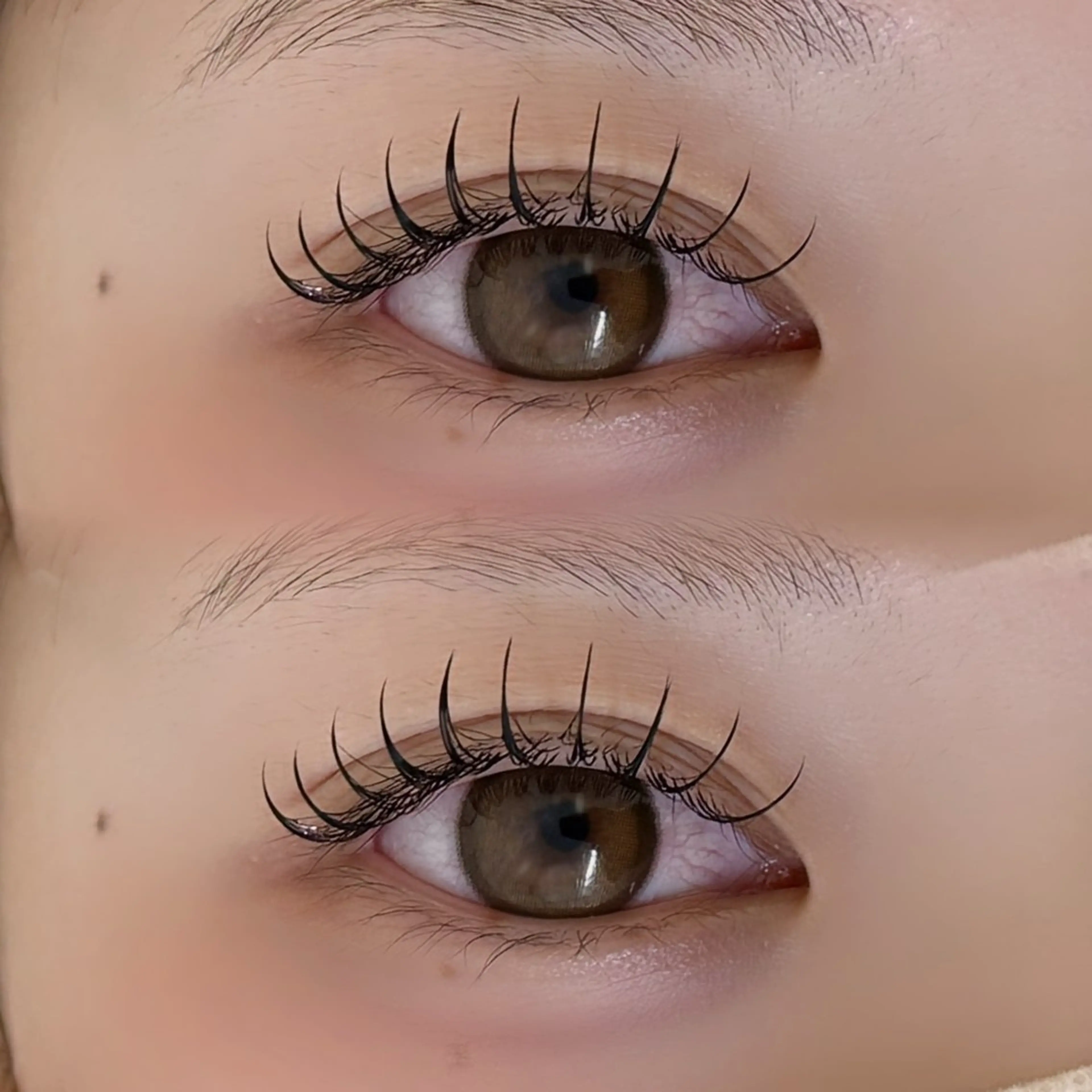 マツエク・マツパ マツエク tomteトムテ junmiのマツエク・マツパデザイン