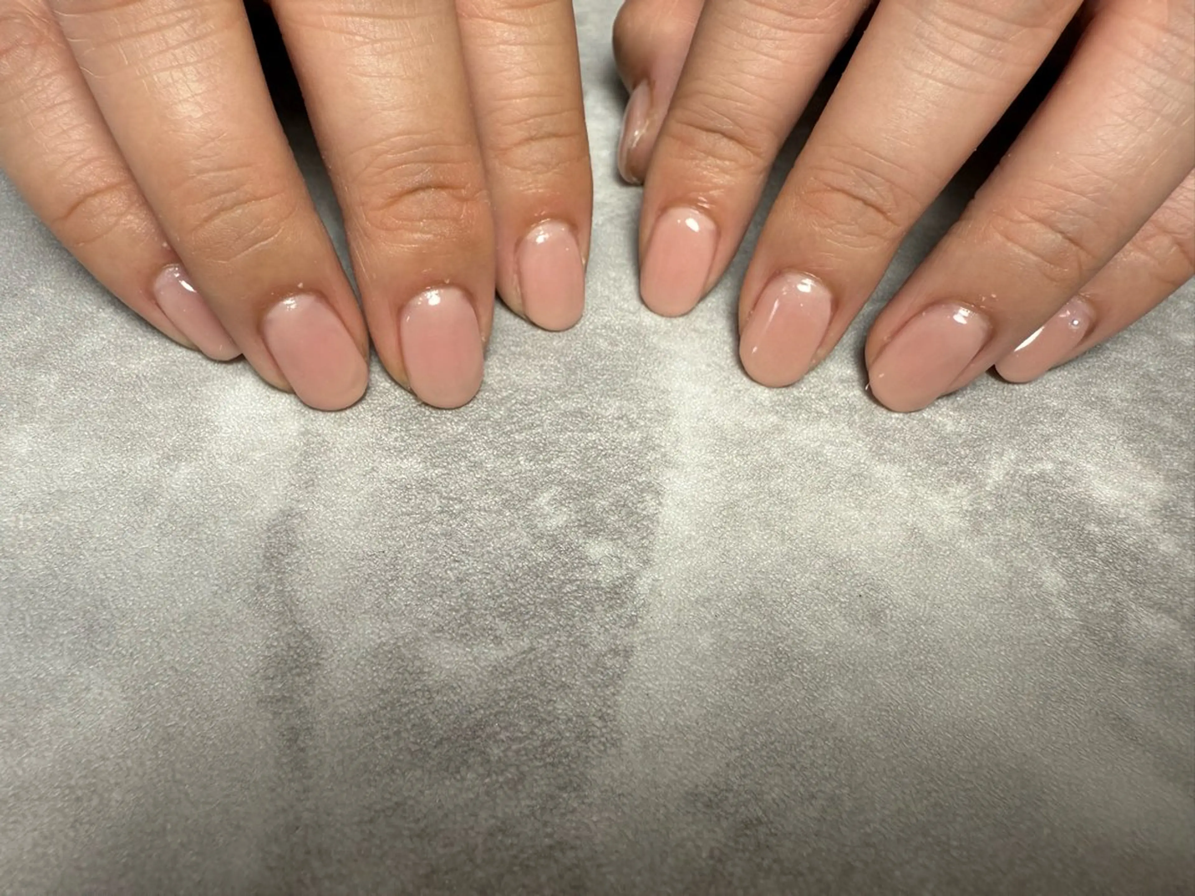 ワンカラーの写真