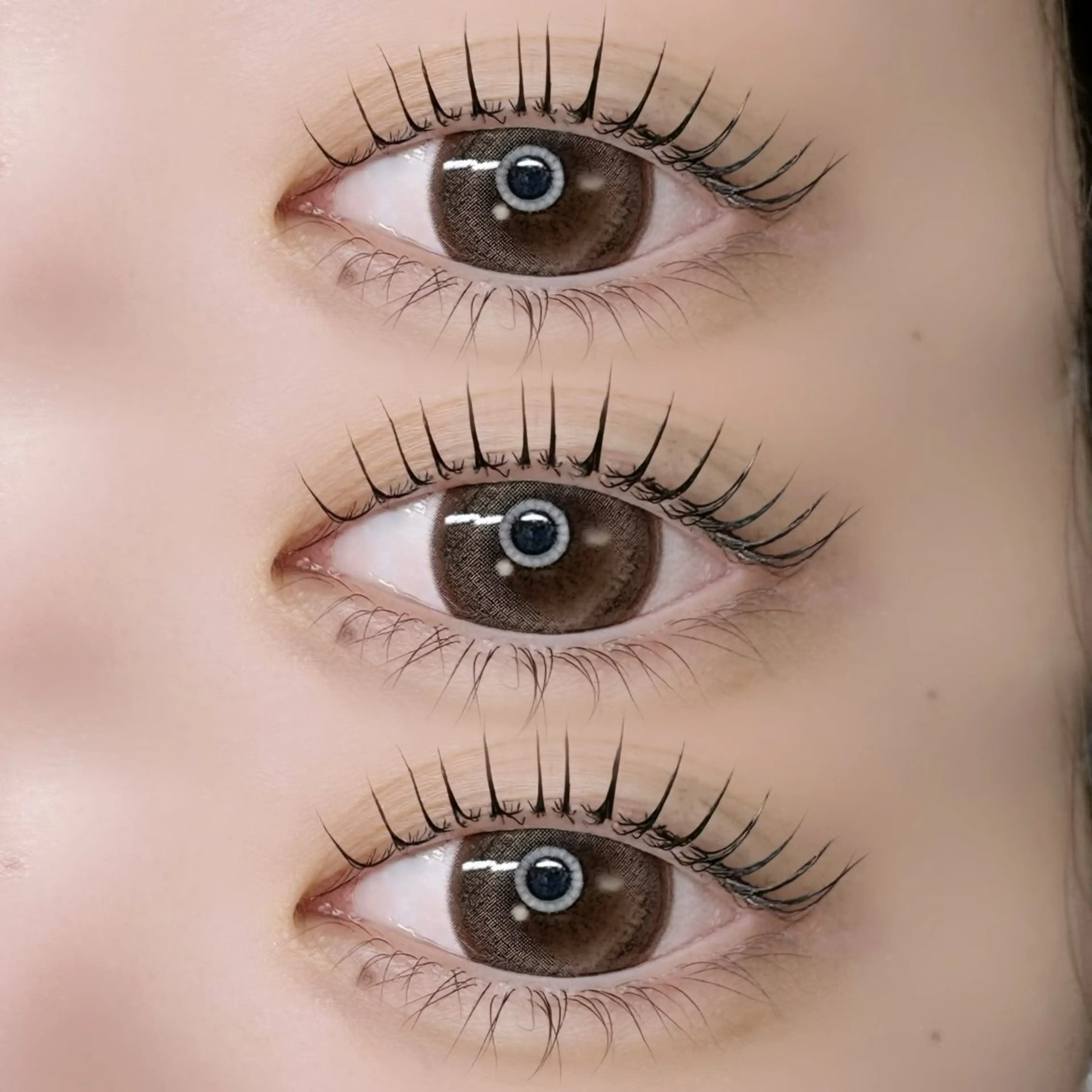 【🎄12月限定🎄 】パリジェンヌ➕中間処理treatment(コーティング付き)の写真