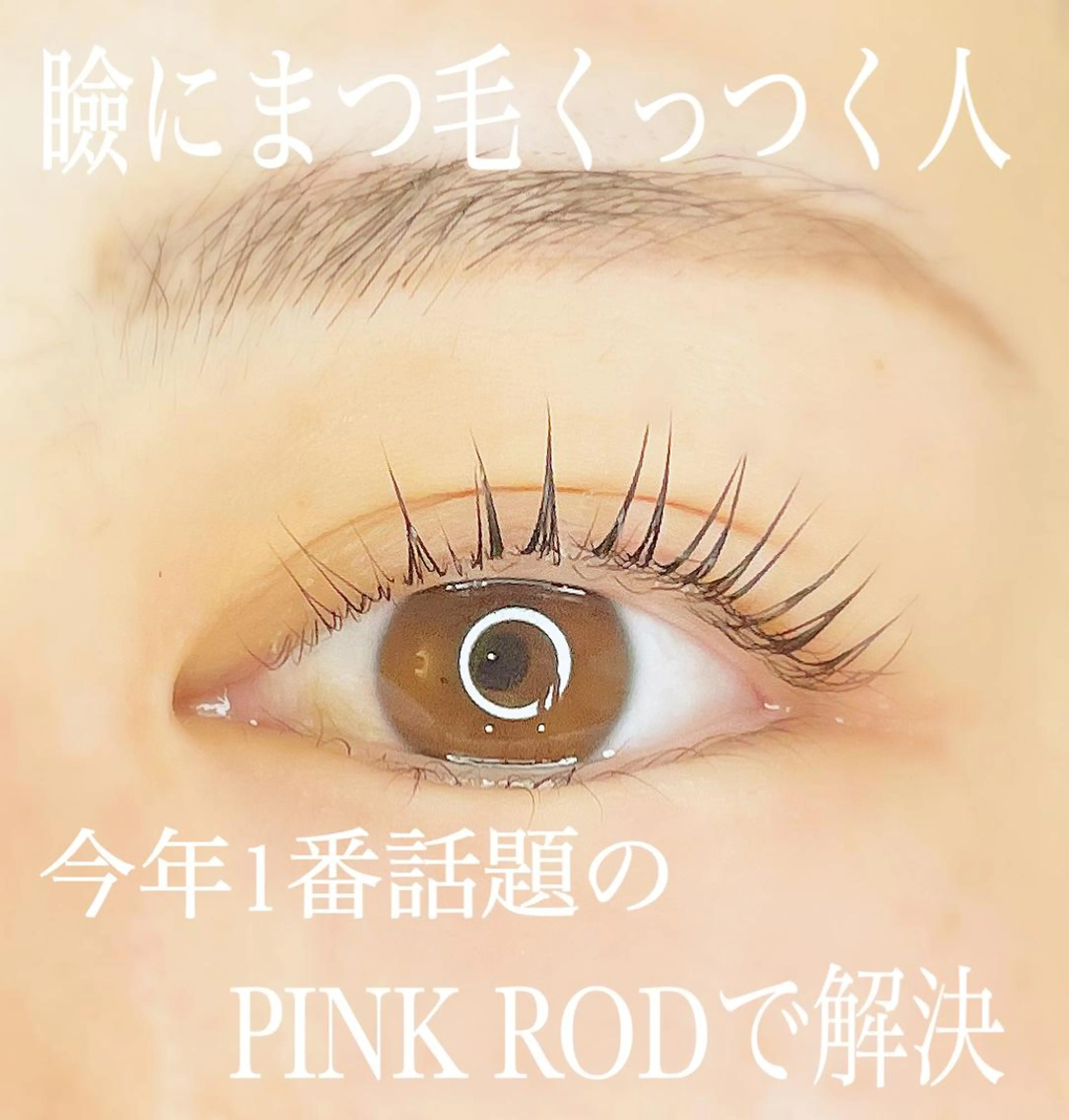 マツエク・マツパ マツパ 山城 エスタの眉毛・アイブロウイメージ