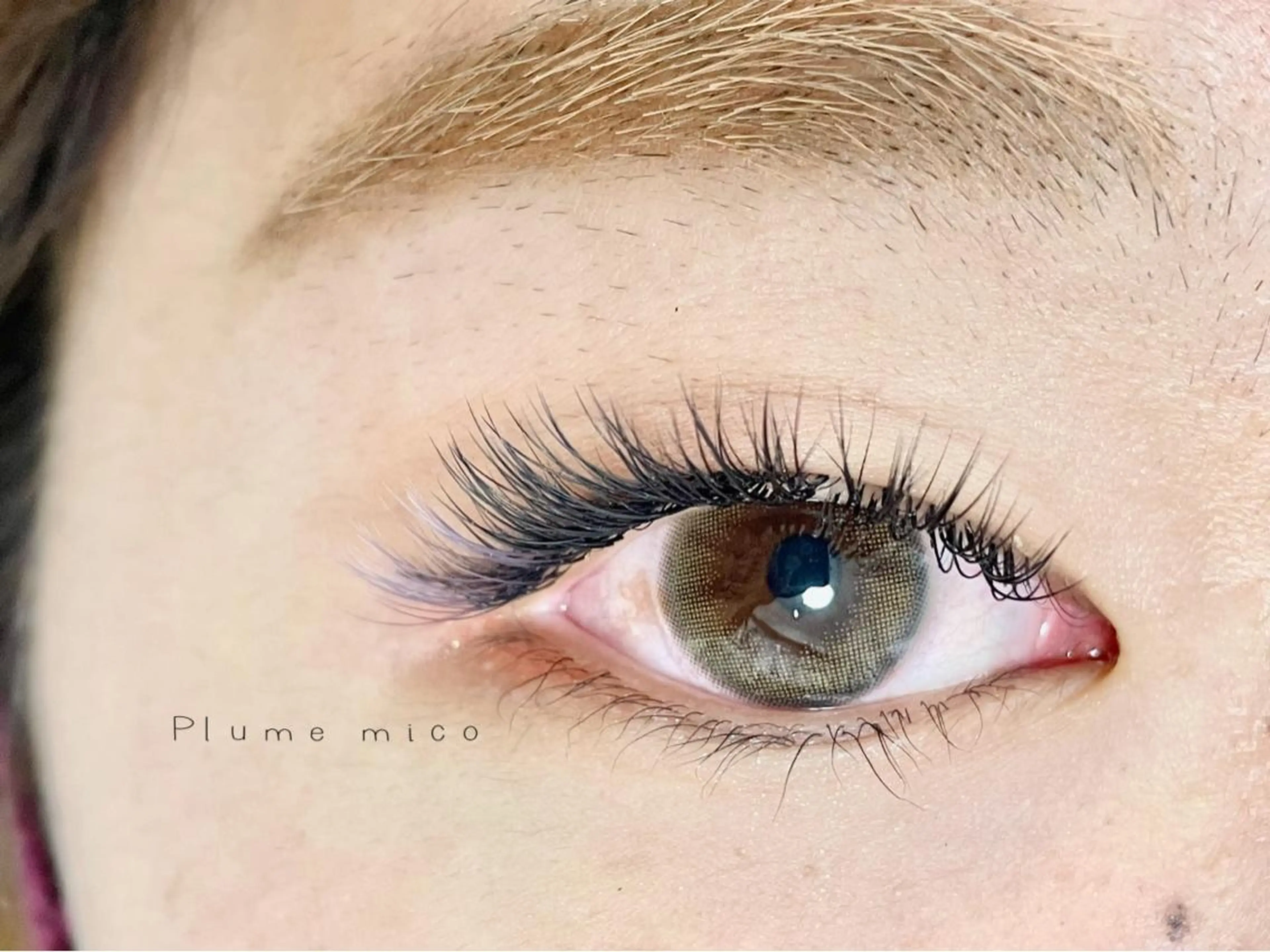 マツエク・マツパ マツエク Plume micoのマツエク・マツパデザイン