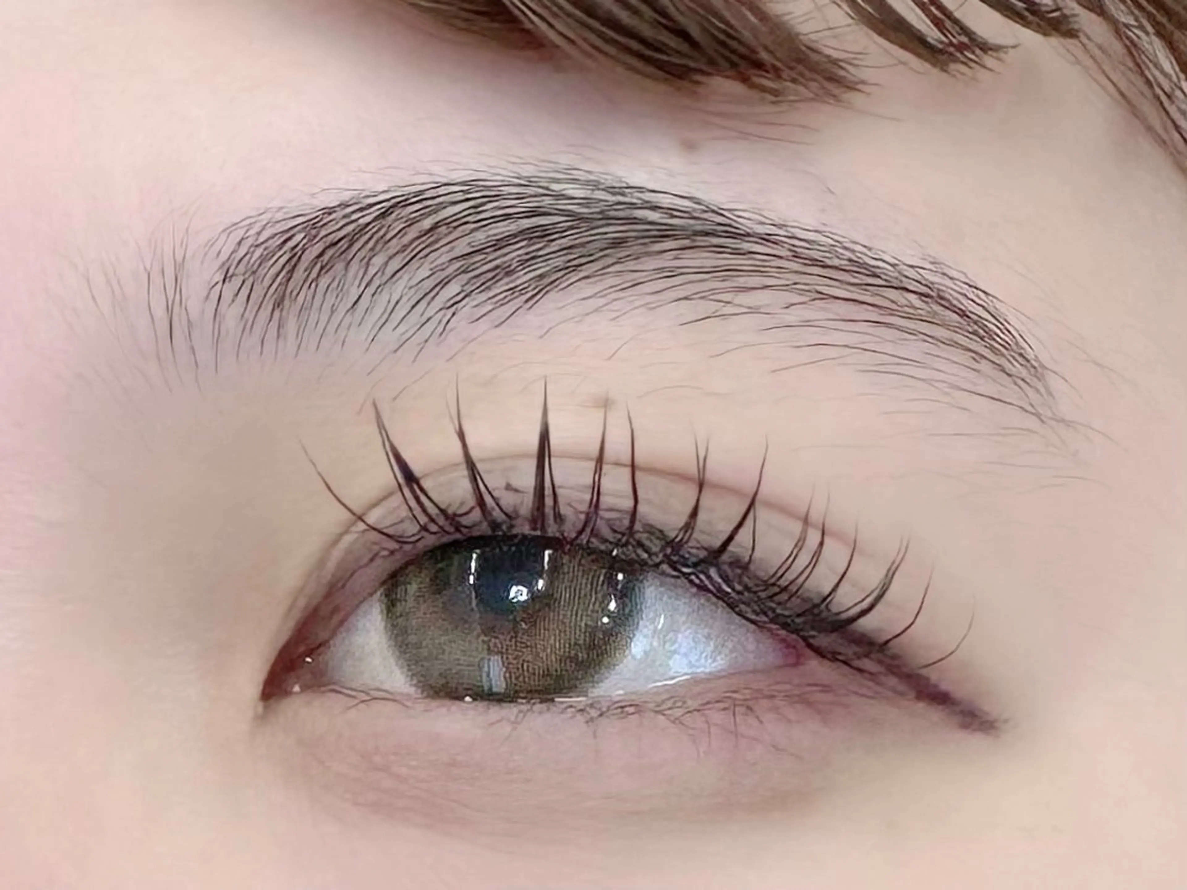 フラットラッシュ100本✨クリアコーティング付きの写真