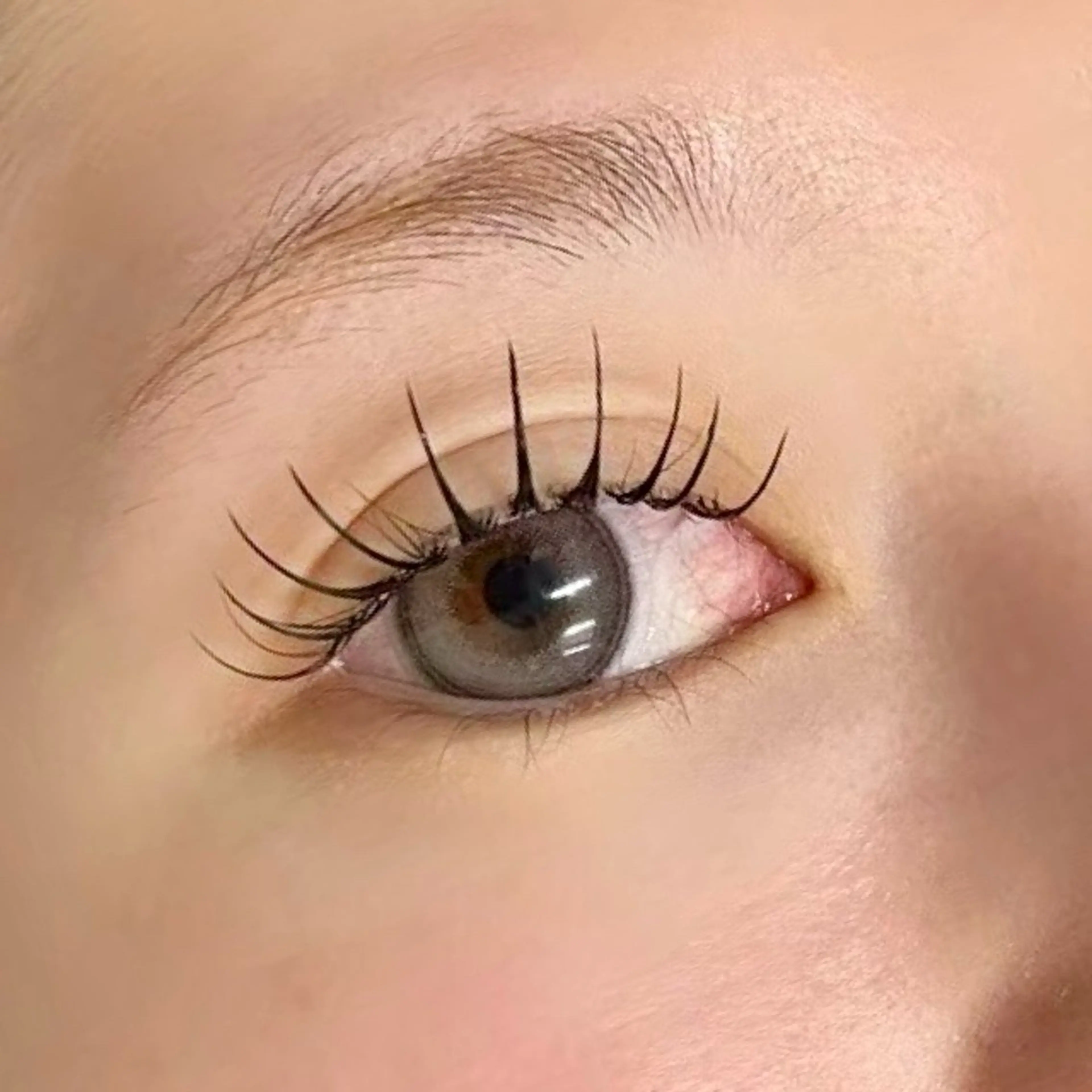 マツエク・マツパ ジュエル.《まつげ》 モデル様募集中のマツエク・マツパデザイン