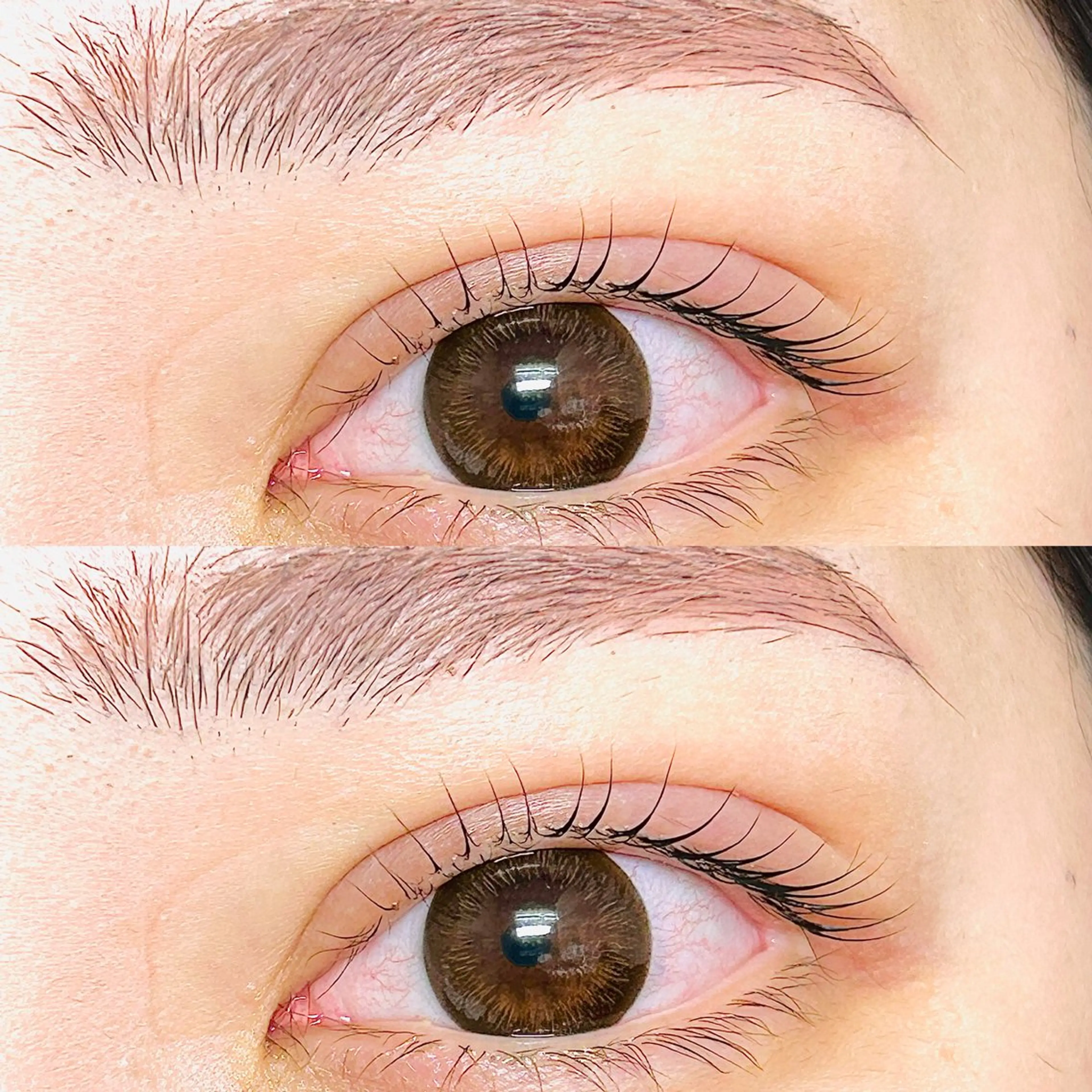 マツエク・マツパ カラーマツエク フラットラッシュ 韓国風マツエク 一重×まつ毛パーマ ワンホンマツエク sigh yurieのマツエク・マツパデザイン