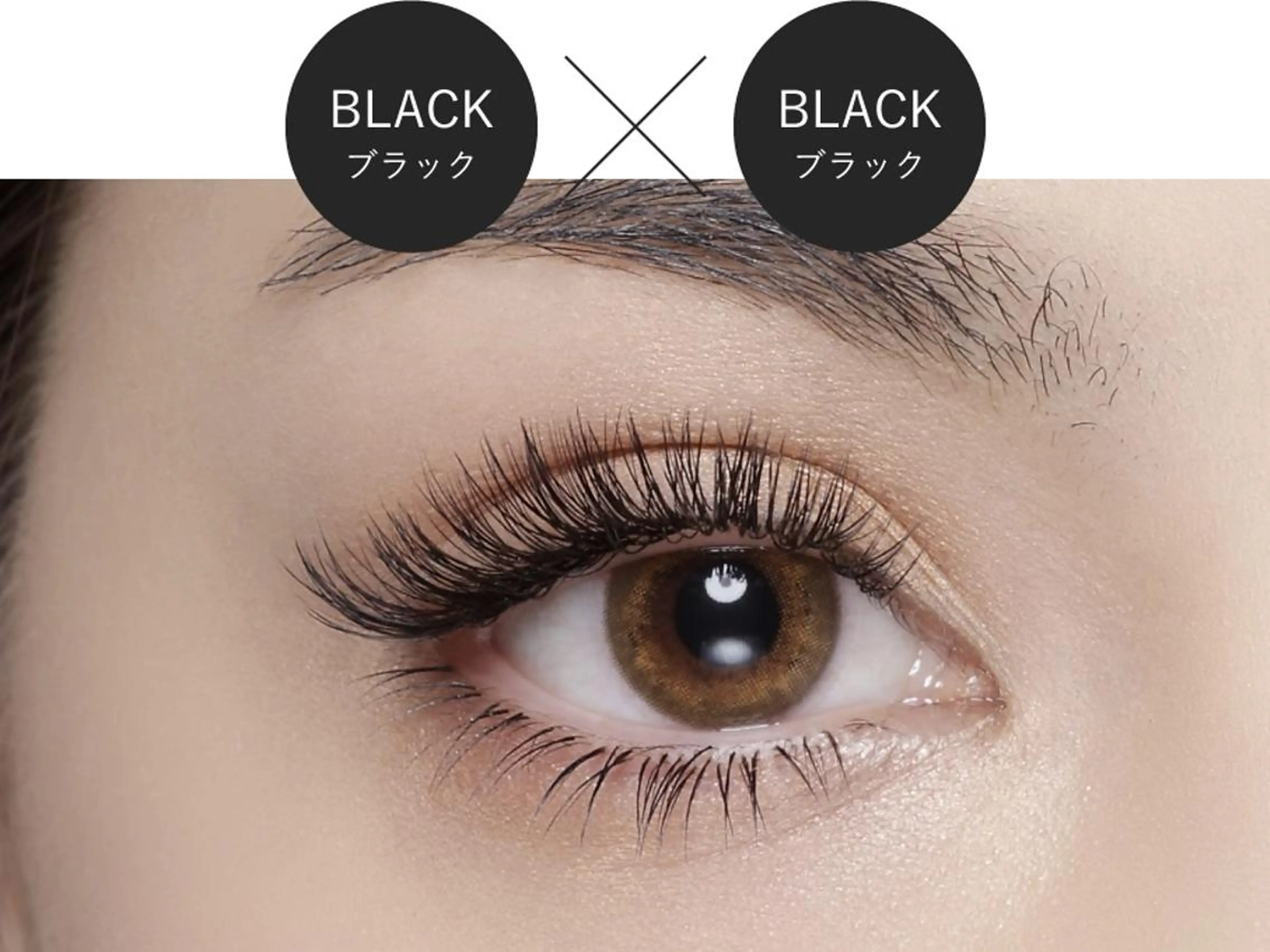 マツエク・マツパ 期間限定❄️ モデル様募集の眉毛・アイブロウイメージ