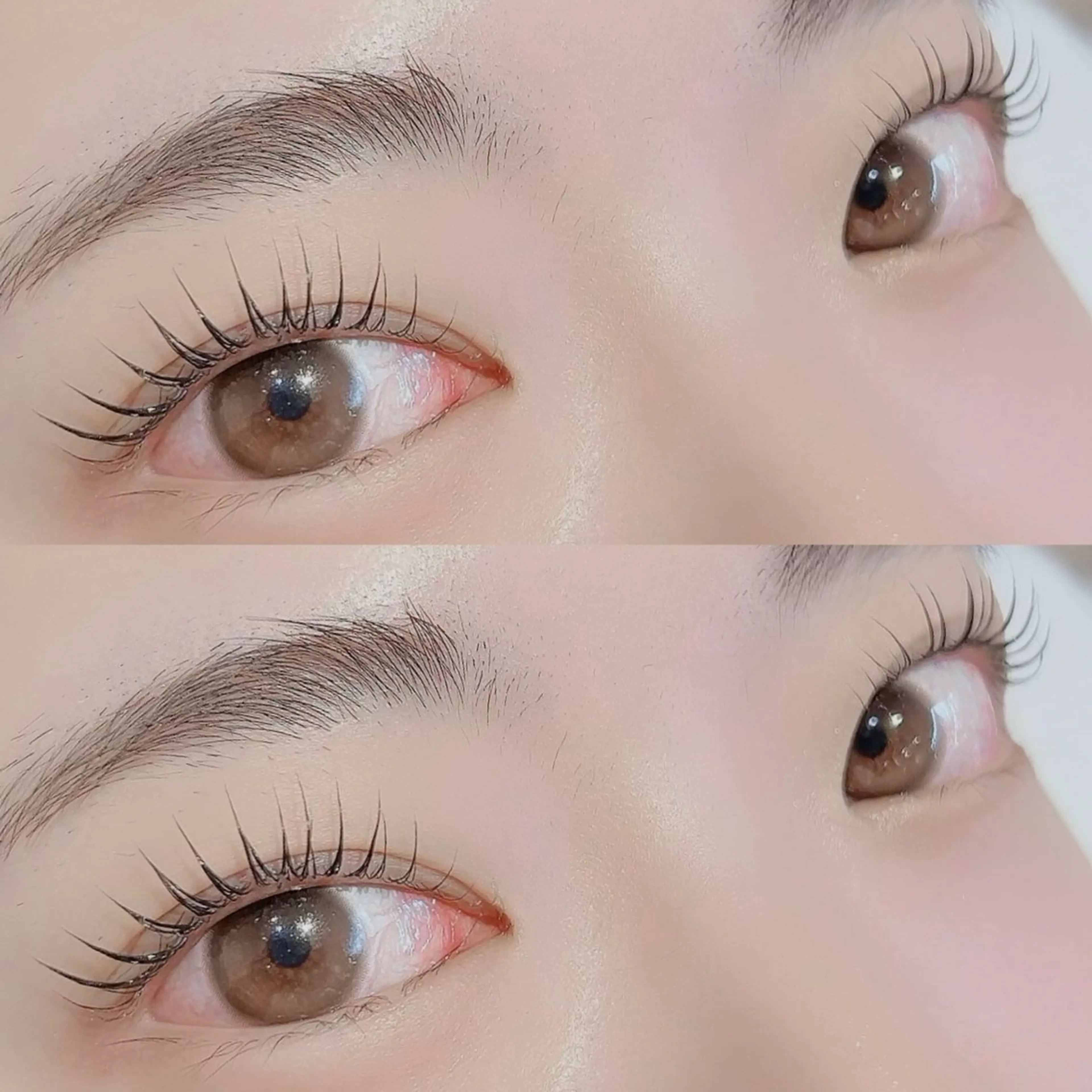 マツエク・マツパ マツパ Luxe ···▸﻿ Seike🐈‍⬛⸒の眉毛・アイブロウイメージ