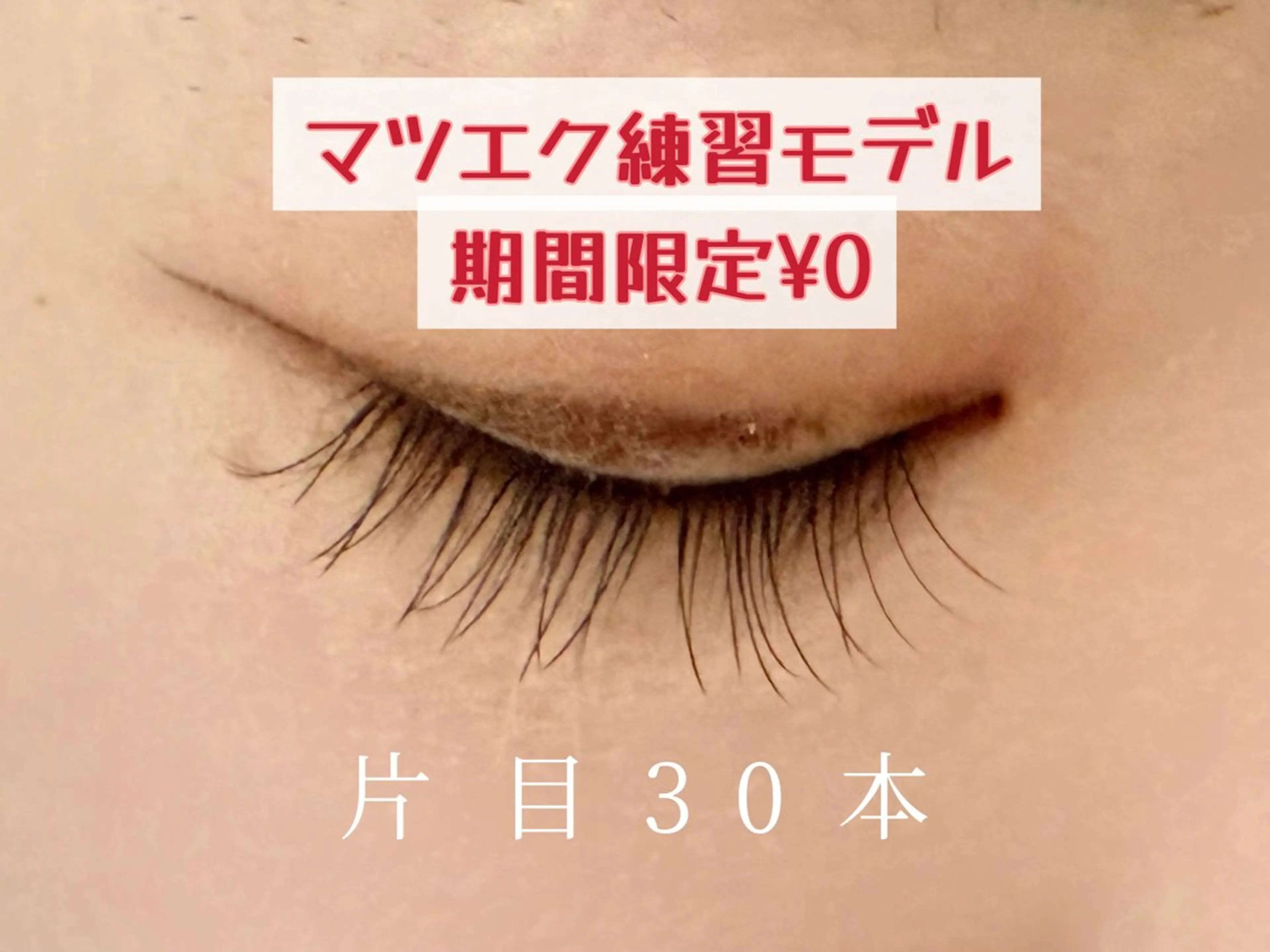 マツエク練習モデル(両目60-80本)の写真