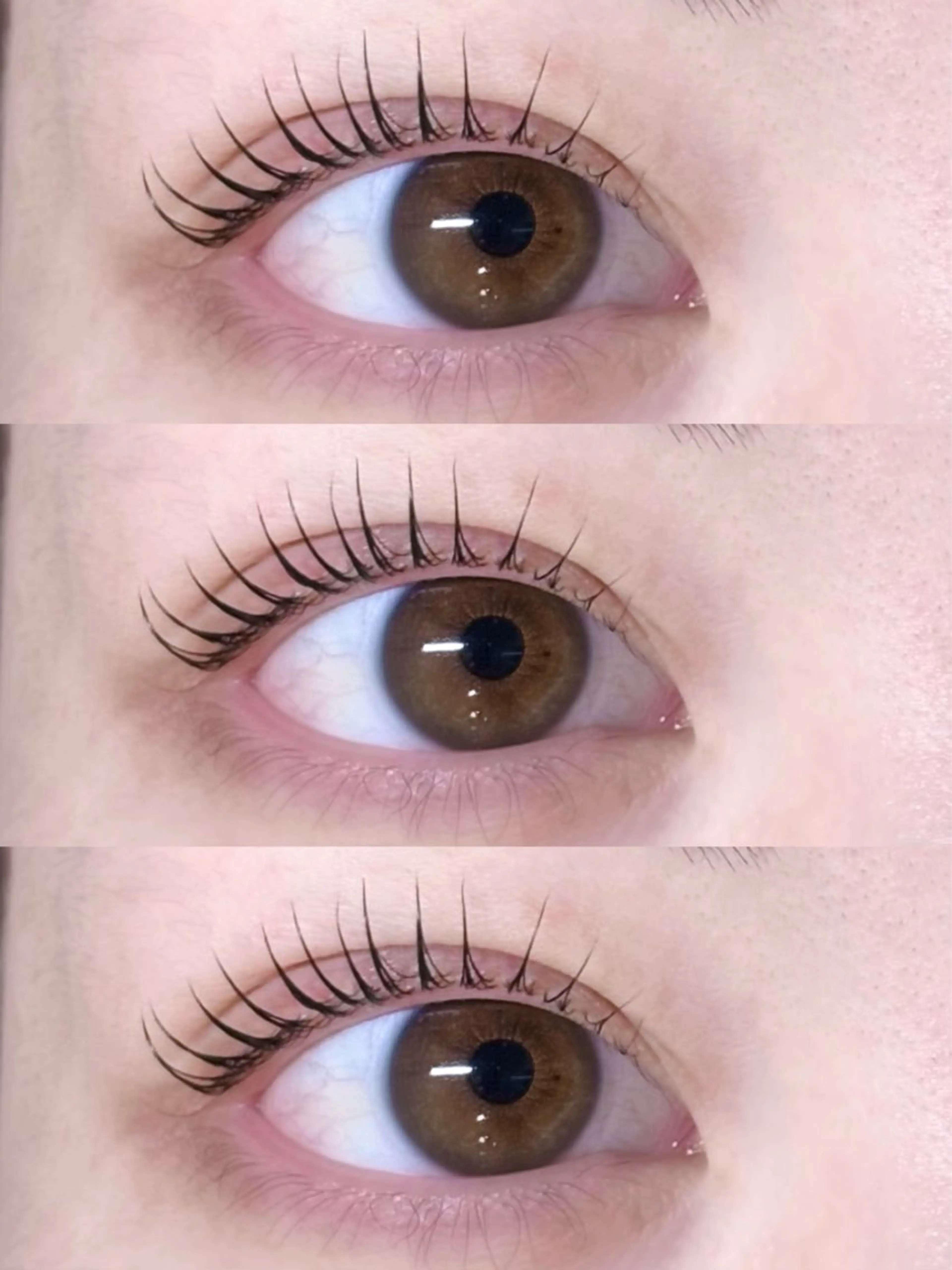 マツエク・マツパ 石 田のマツエク・マツパデザイン