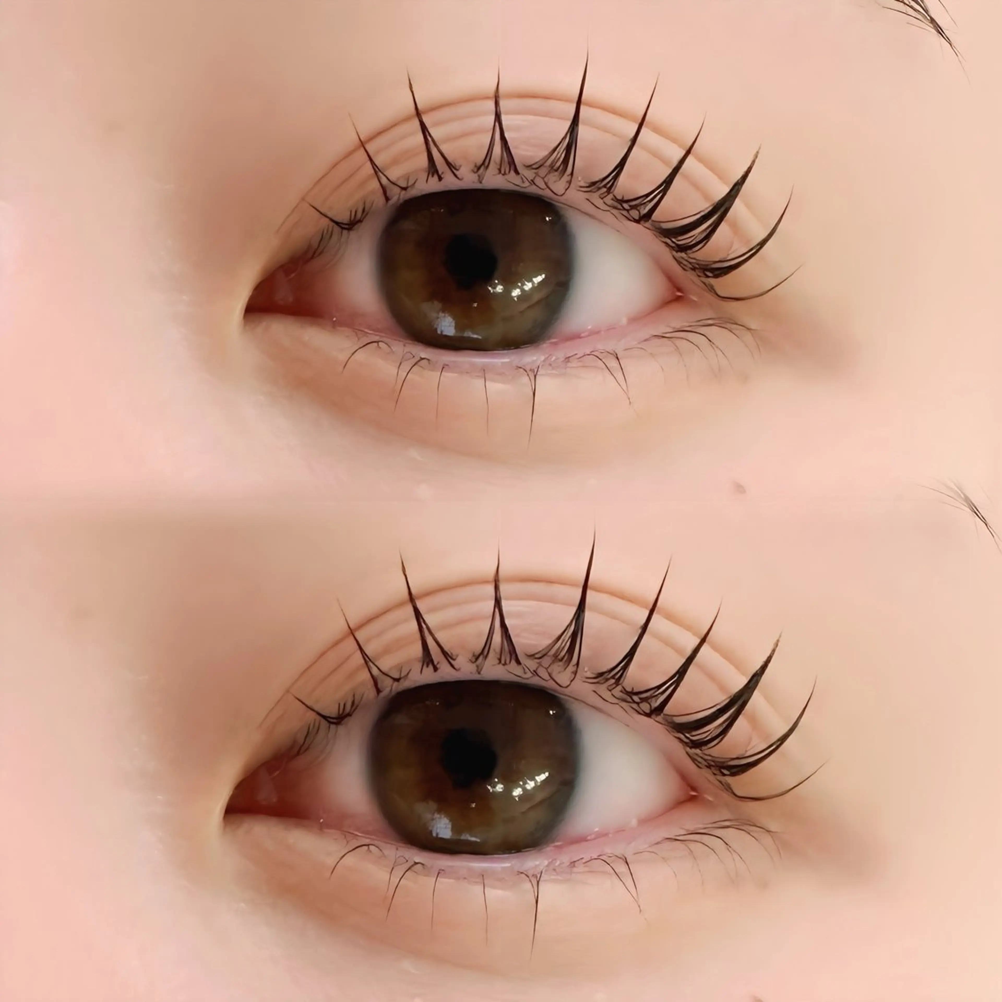 まつげパーマ 上下🌻 逆さまつげの方もオススメ¨̮✩ 60分 横浜 関内‪𓂃 𓈒𓏸の写真