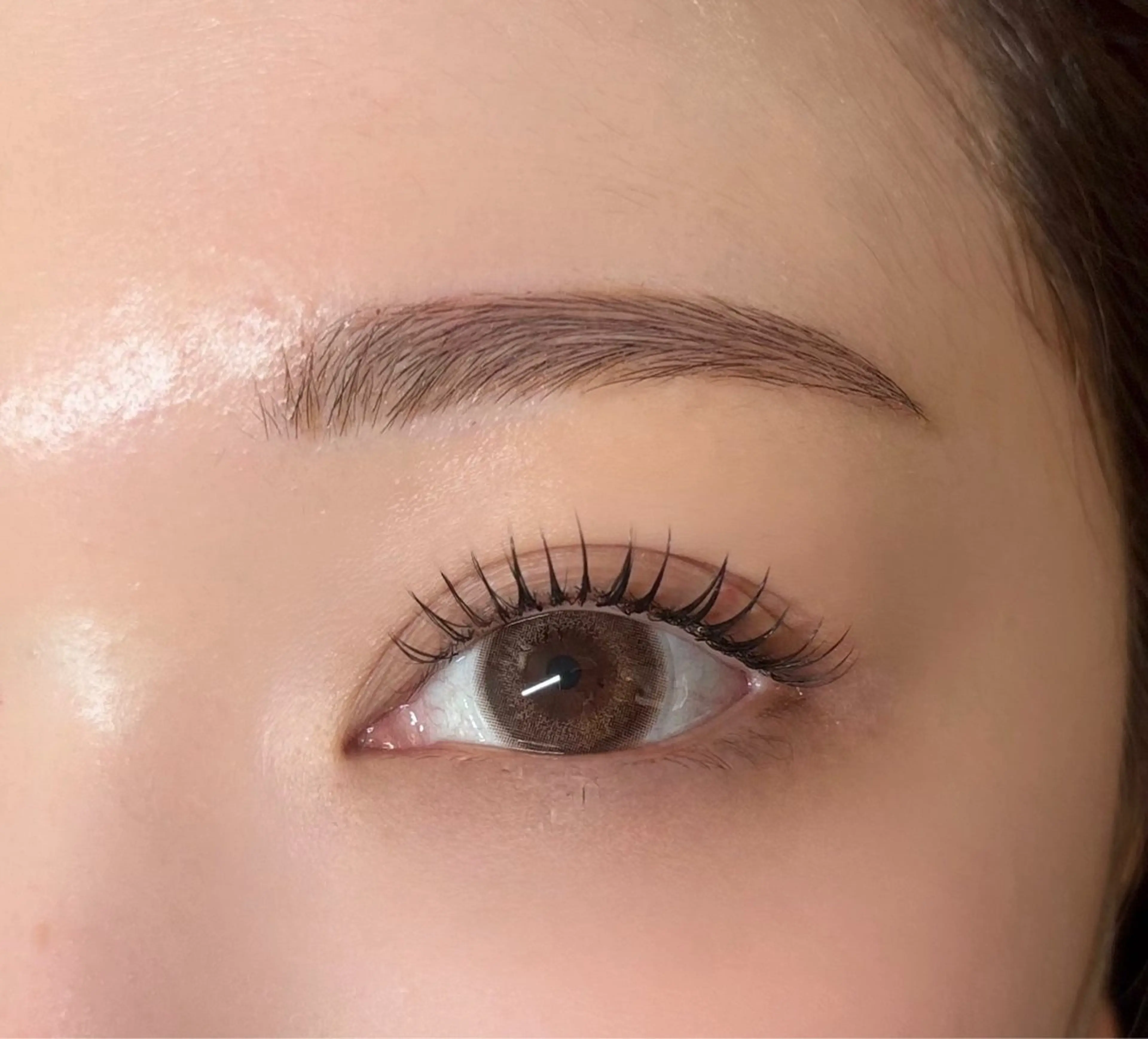 【ミニモ限定】LEDフラットラッシュ120本&美眉スタイリングsetアイシャンプー付🩵の写真