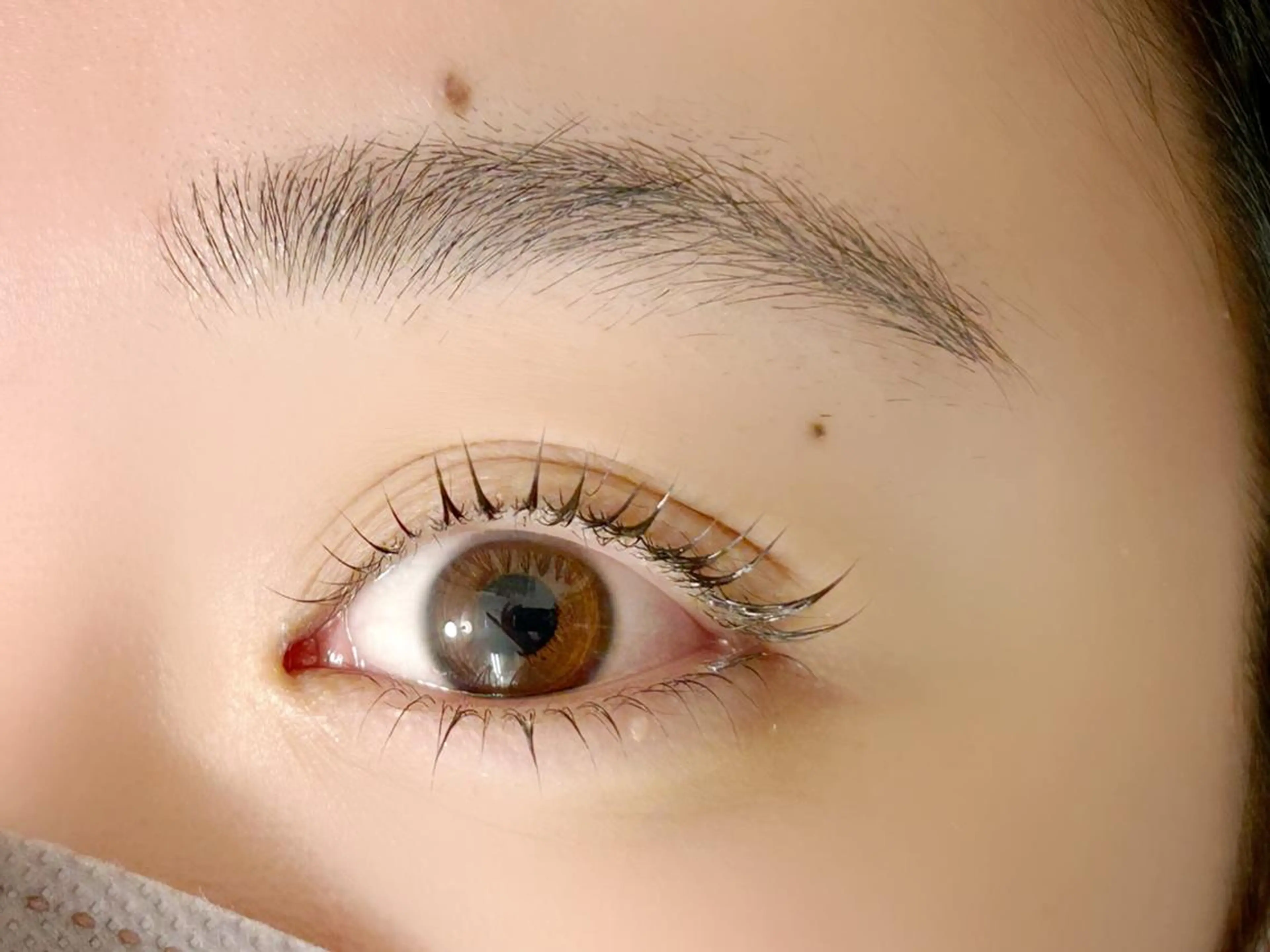 マツエク・マツパ マツパ lieu pré eyelashの眉毛・アイブロウイメージ
