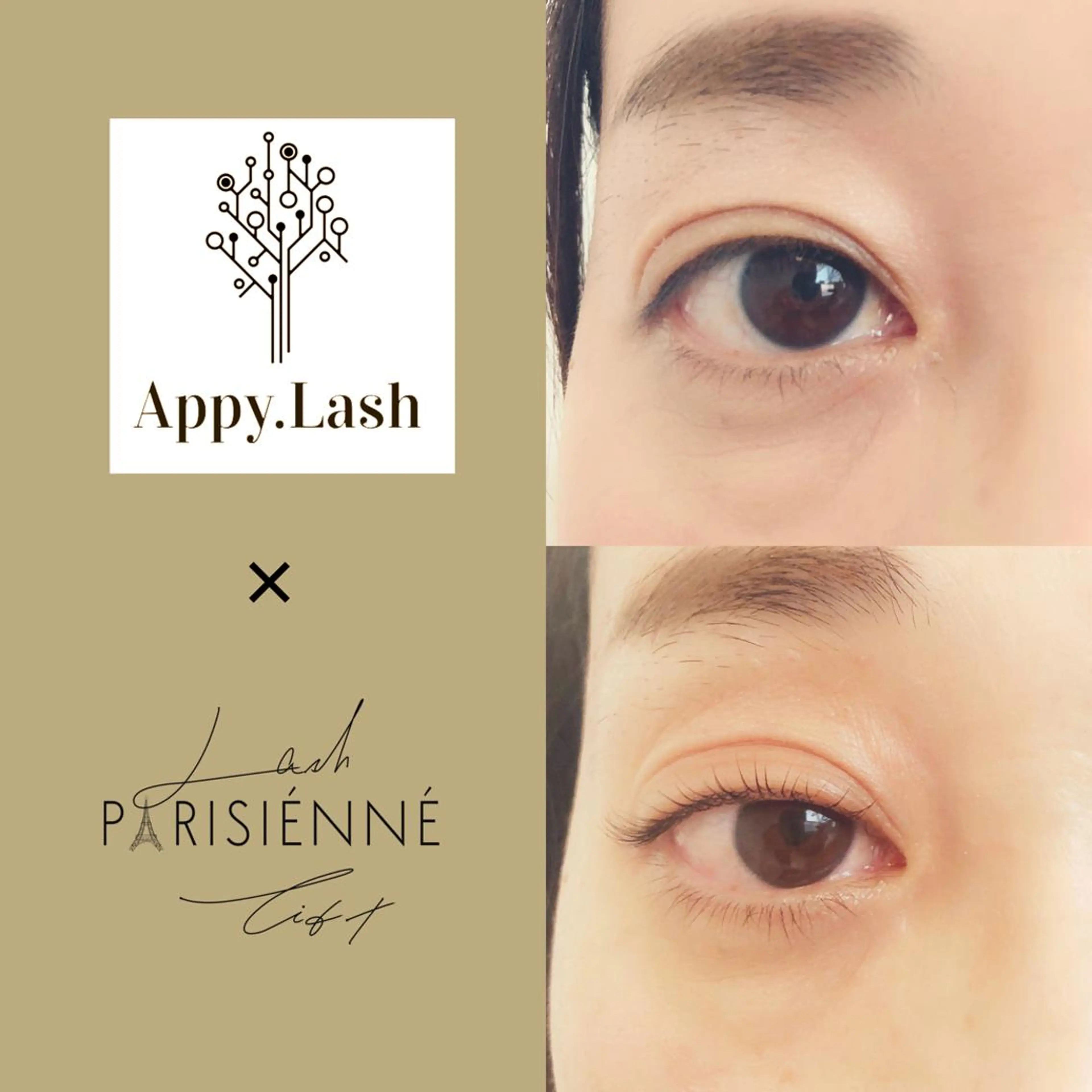 マツエク・マツパ まつげと眉の専門店 Appy.Lashのマツエク・マツパデザイン