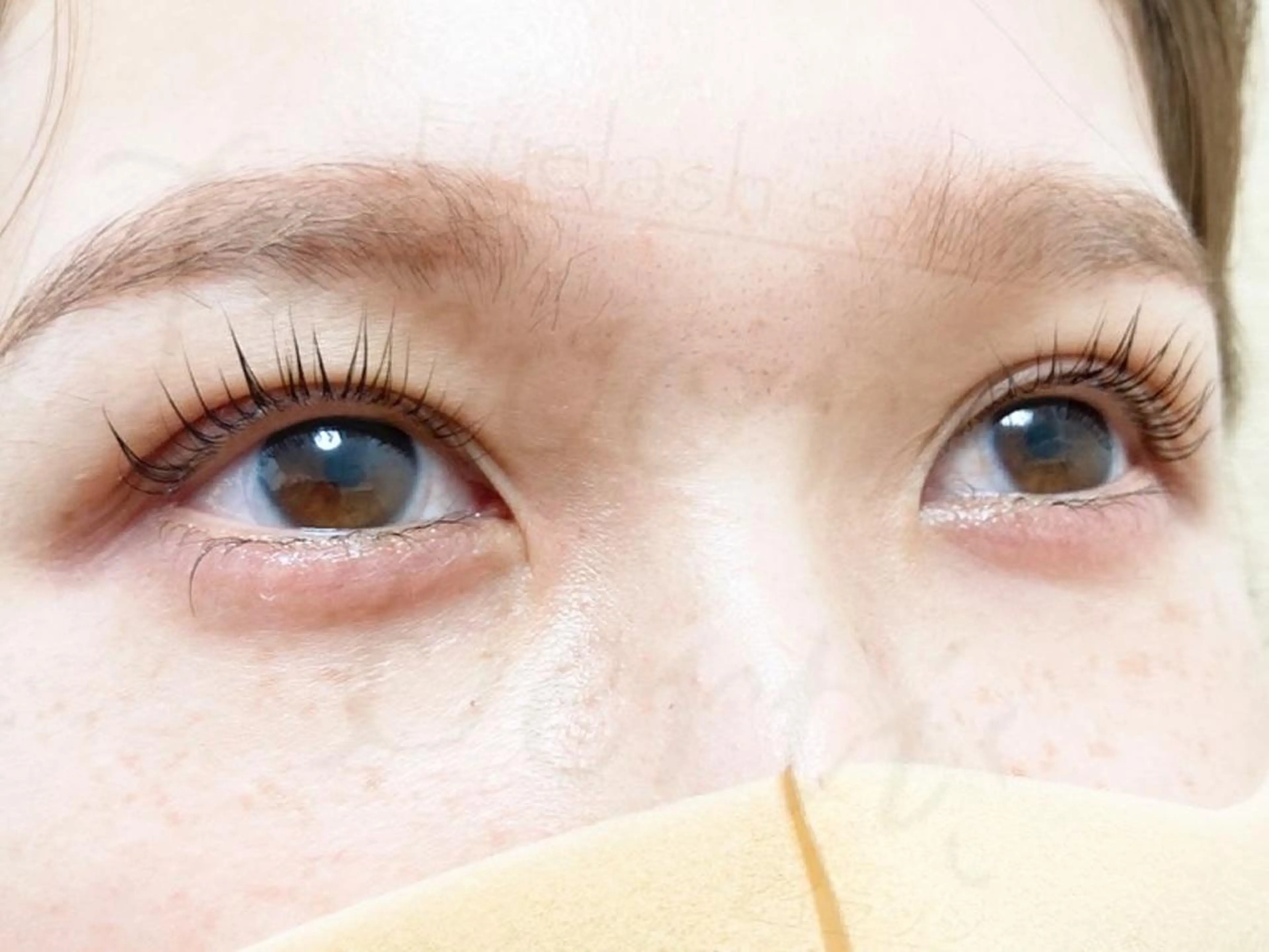 マツエク・マツパ マツパ トレヴァーデルチザン inuiのマツエク・マツパデザイン