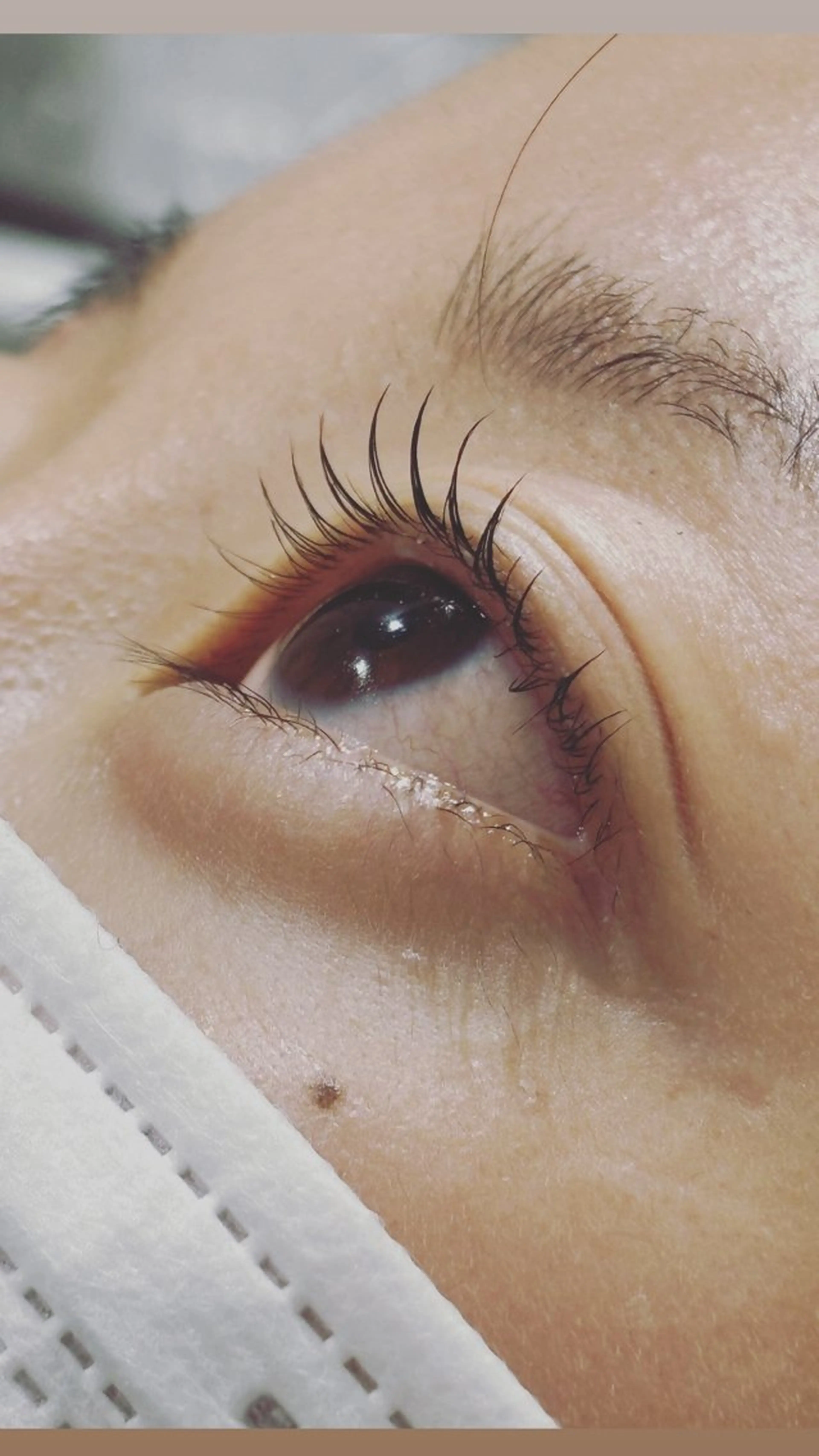 マツエク・マツパ ナチュラル 🌻SUZUKA .K🌻のマツエク・マツパデザイン